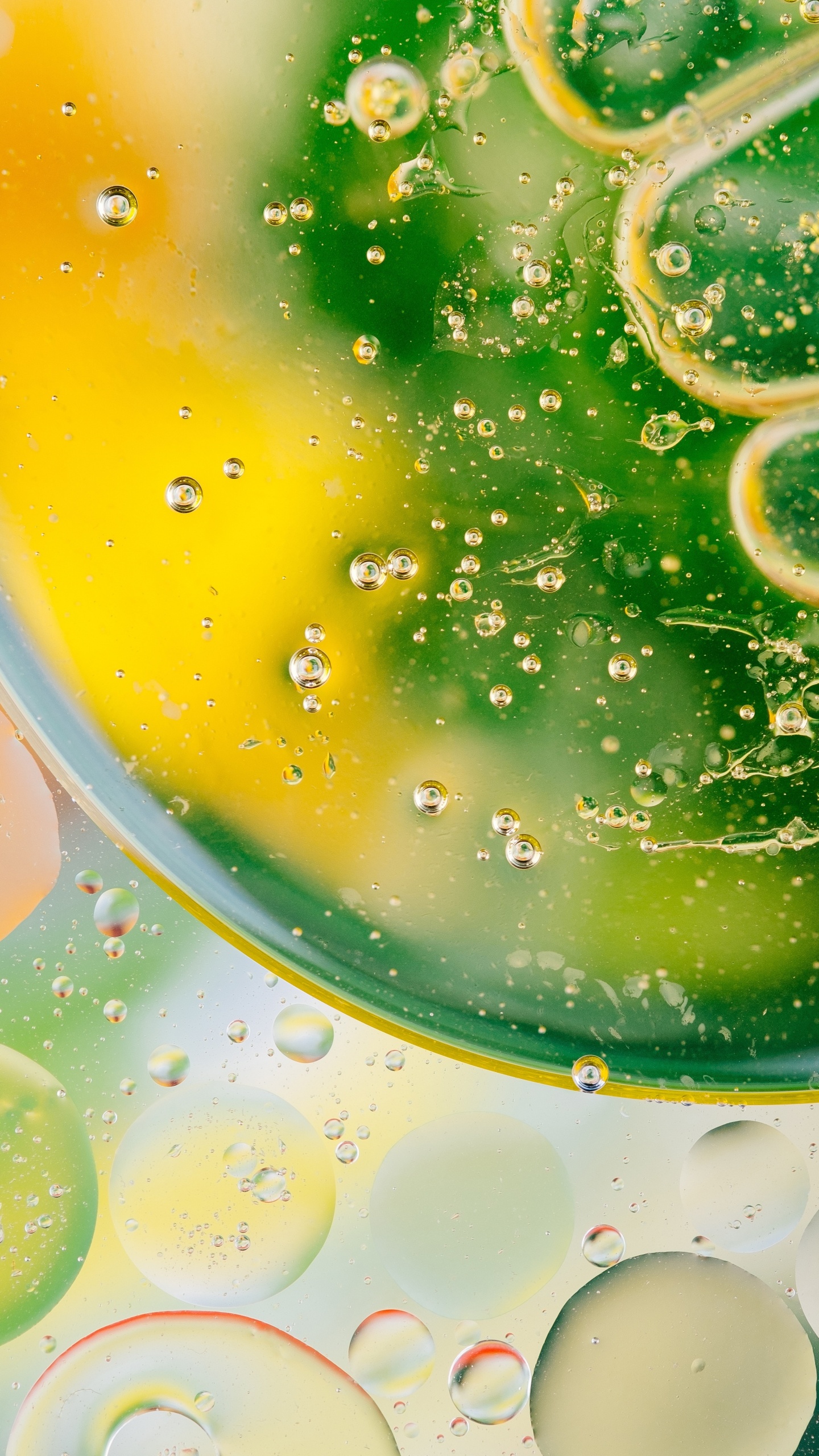 Обои зеленый, известь, пища, цитрус, напиток в разрешении 1440x2560