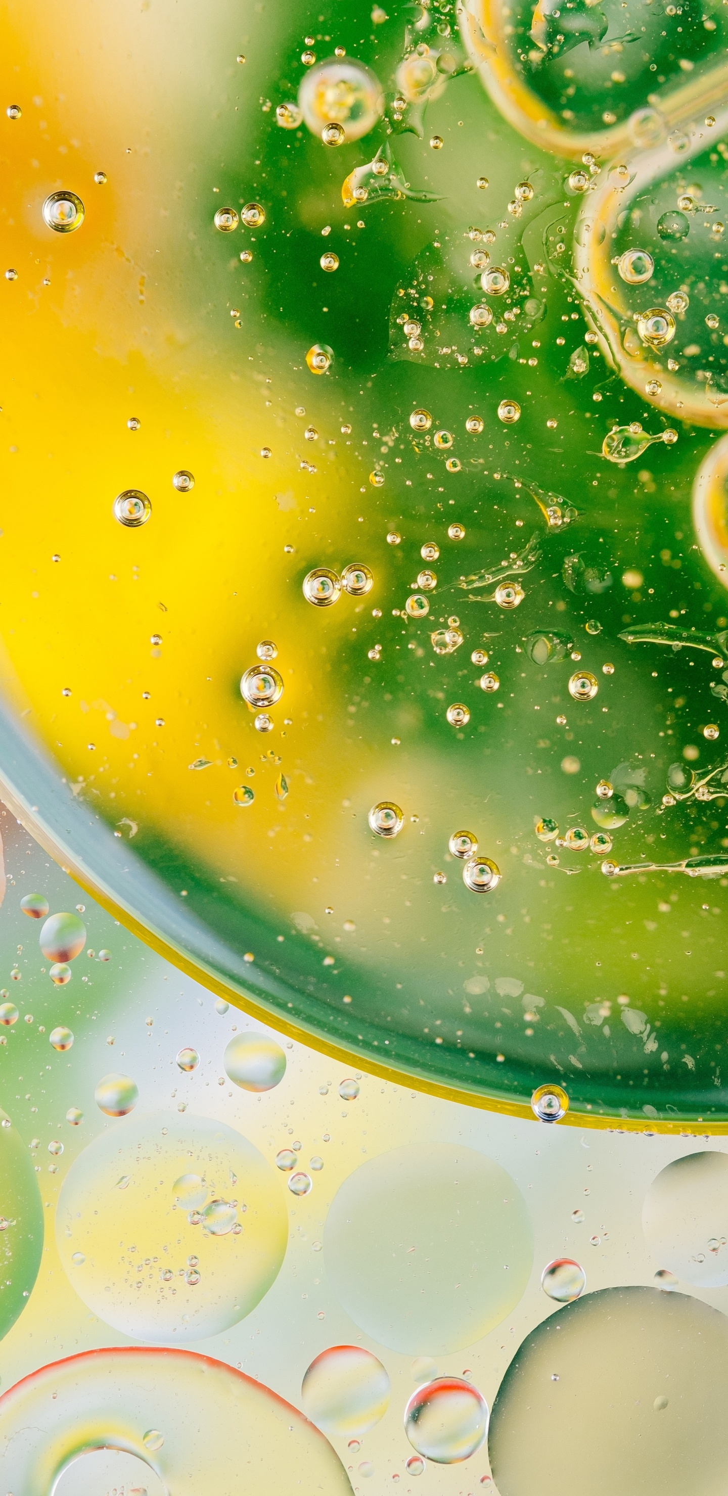 Обои зеленый, известь, пища, цитрус, напиток в разрешении 1440x2960