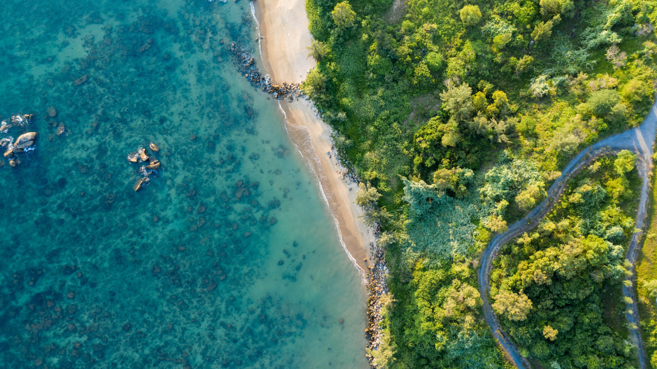 Обои 64-битные вычисления, windows 10, вода, лазурный, растение в разрешении 1280x720