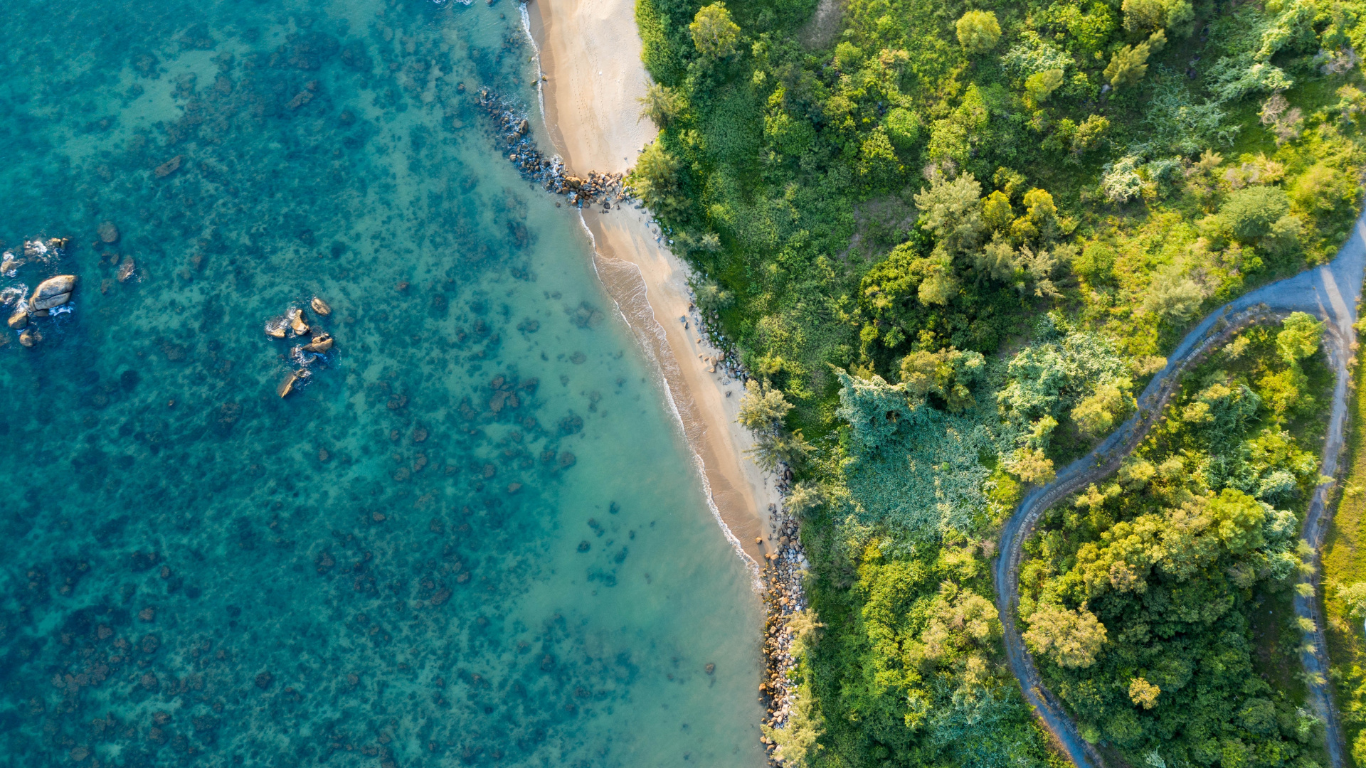 Обои 64-битные вычисления, windows 10, вода, лазурный, растение в разрешении 1920x1080