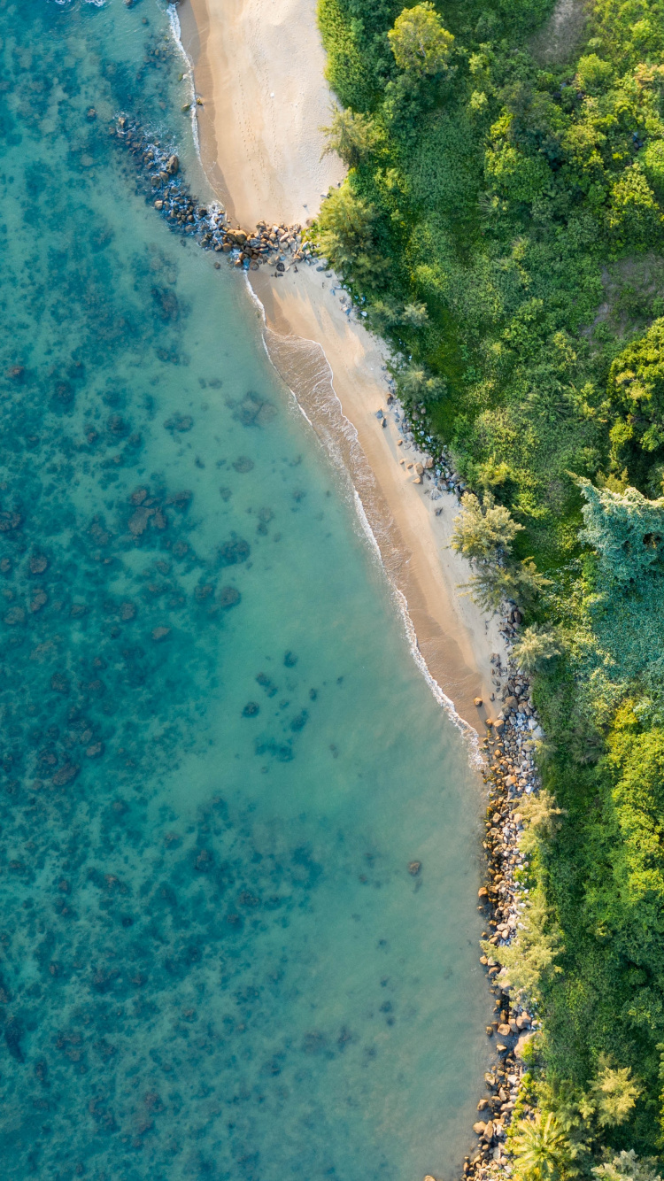 Обои 64-битные вычисления, windows 10, вода, лазурный, растение в разрешении 750x1334