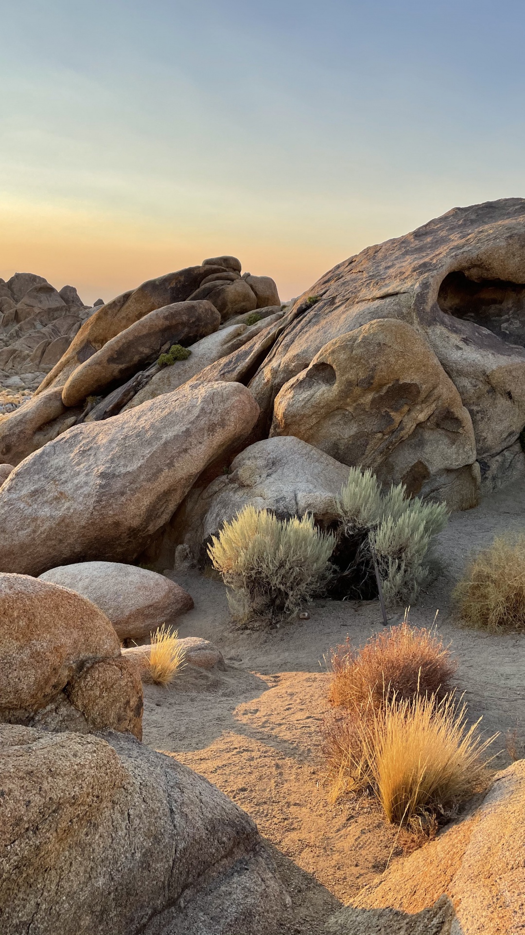 Обои Эпл, поддержка яблока, растение, коренная порода, природный ландшафт в разрешении 1080x1920