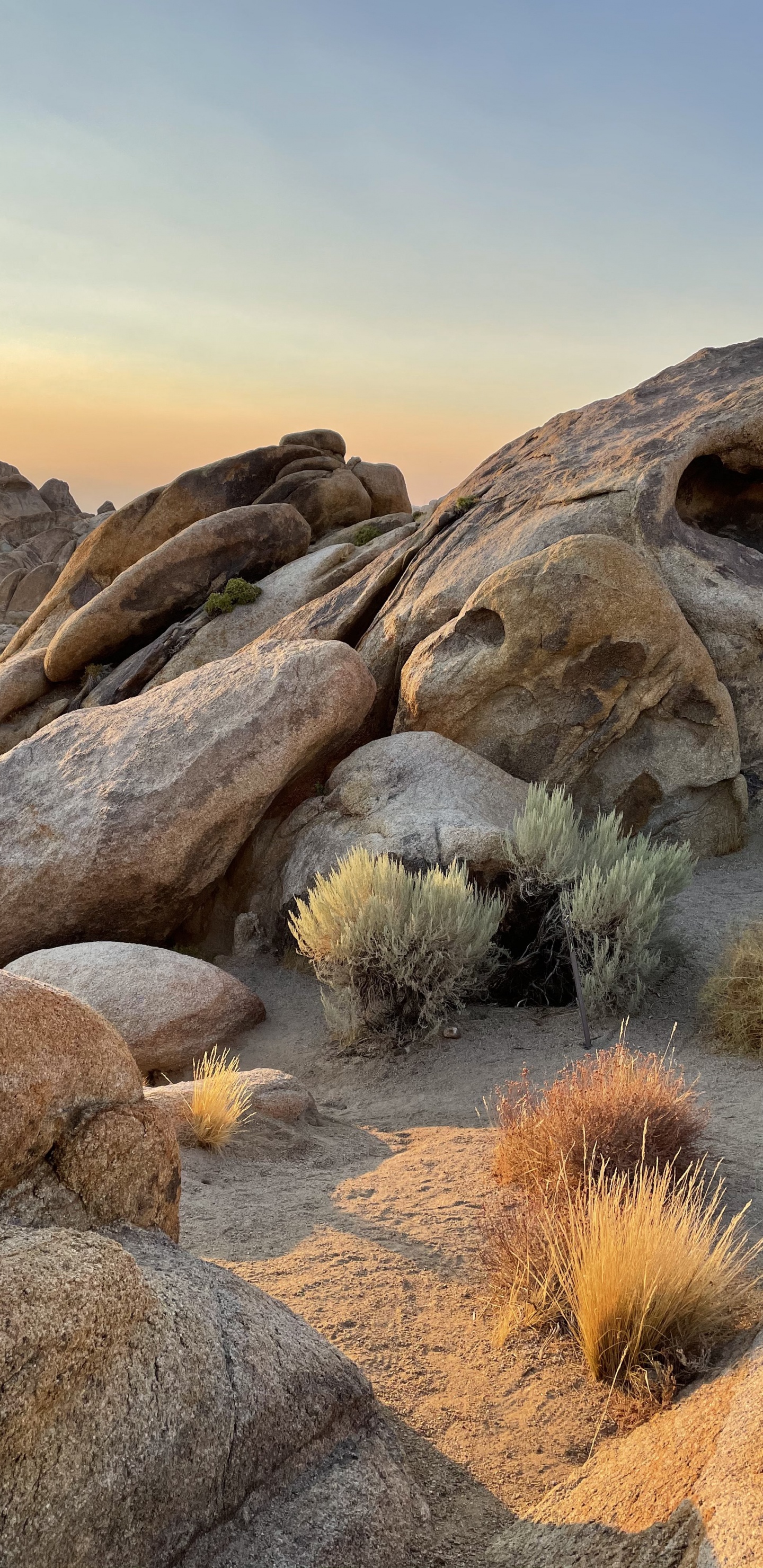 Обои Эпл, поддержка яблока, растение, коренная порода, природный ландшафт в разрешении 1440x2960