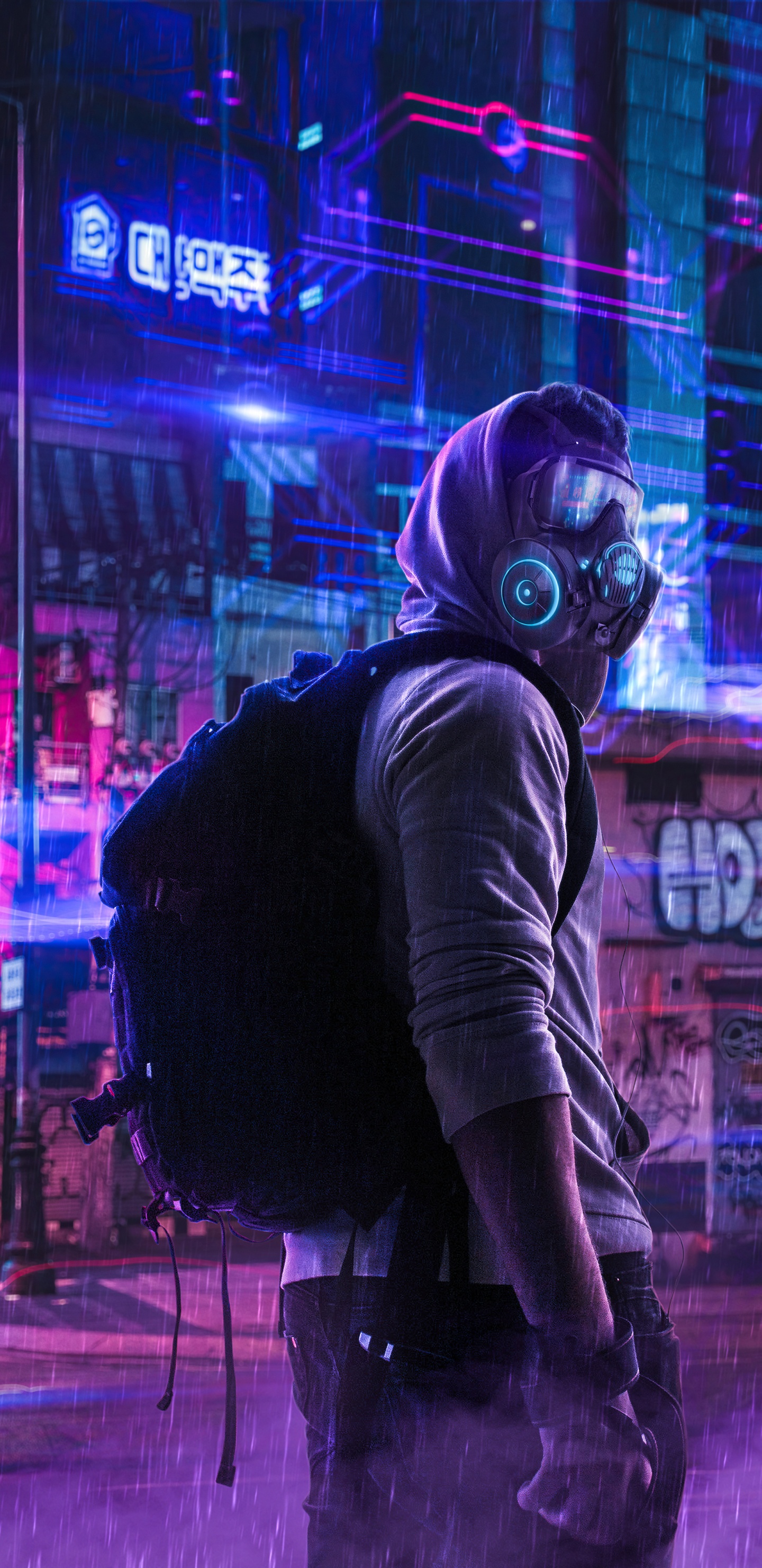 Обои пурпур, развлечение, театральное искусство, Фиолетовый, музыка в разрешении 1440x2960