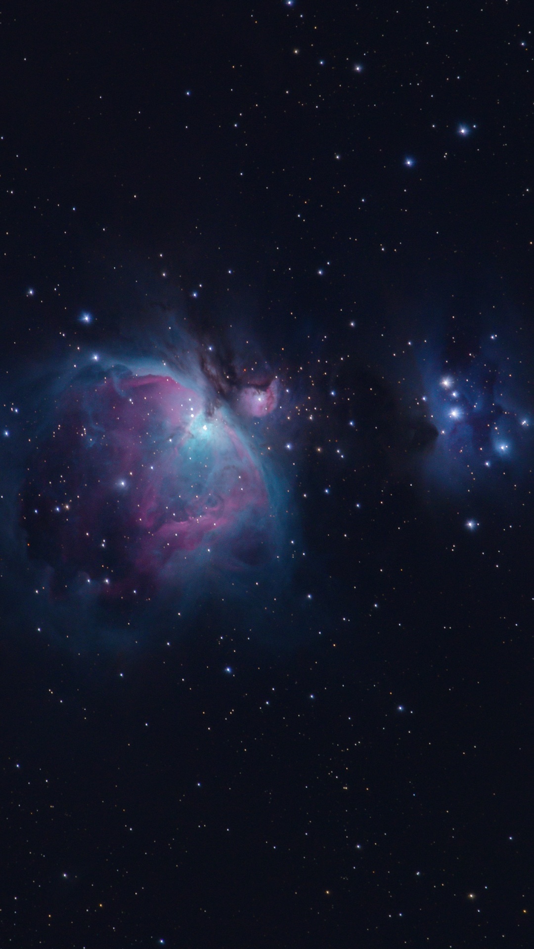 Обои туманность, Астрономия, Туманность Ориона, Вуаль Туманность, остаток сверхновой в разрешении 1080x1920