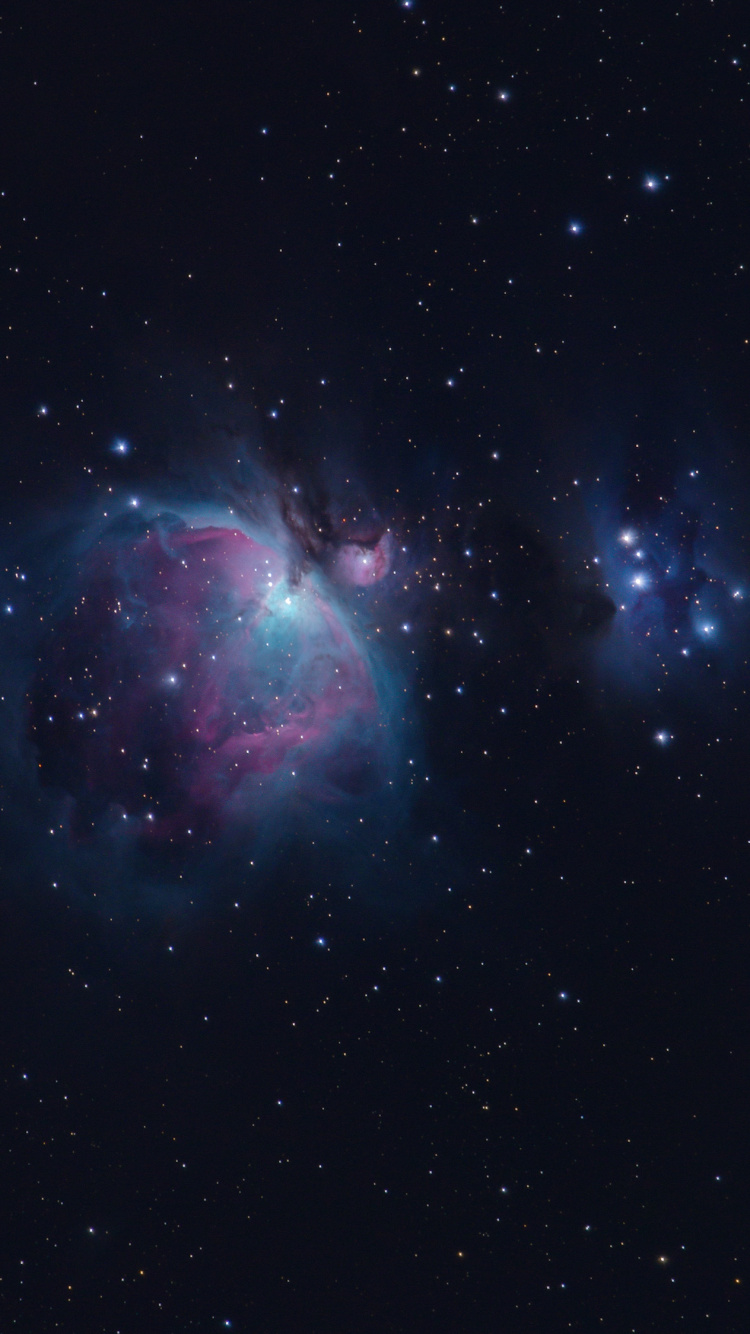 Обои туманность, Астрономия, Туманность Ориона, Вуаль Туманность, остаток сверхновой в разрешении 750x1334