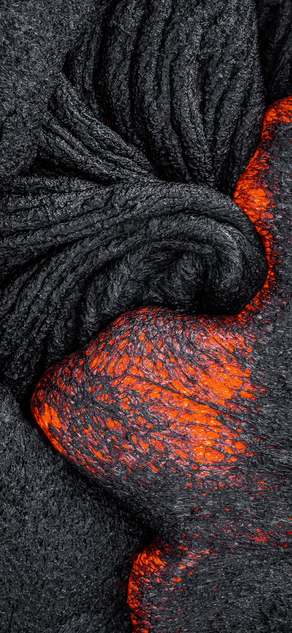 Обои Оранжевый цвет, серый цвет, древесина, автомобильные шины, арт в разрешении 1125x2436