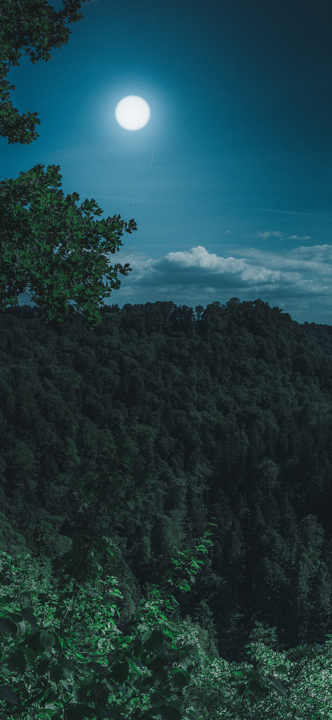 Обои земля, луна, лунный свет, природа, синий в разрешении 1125x2436