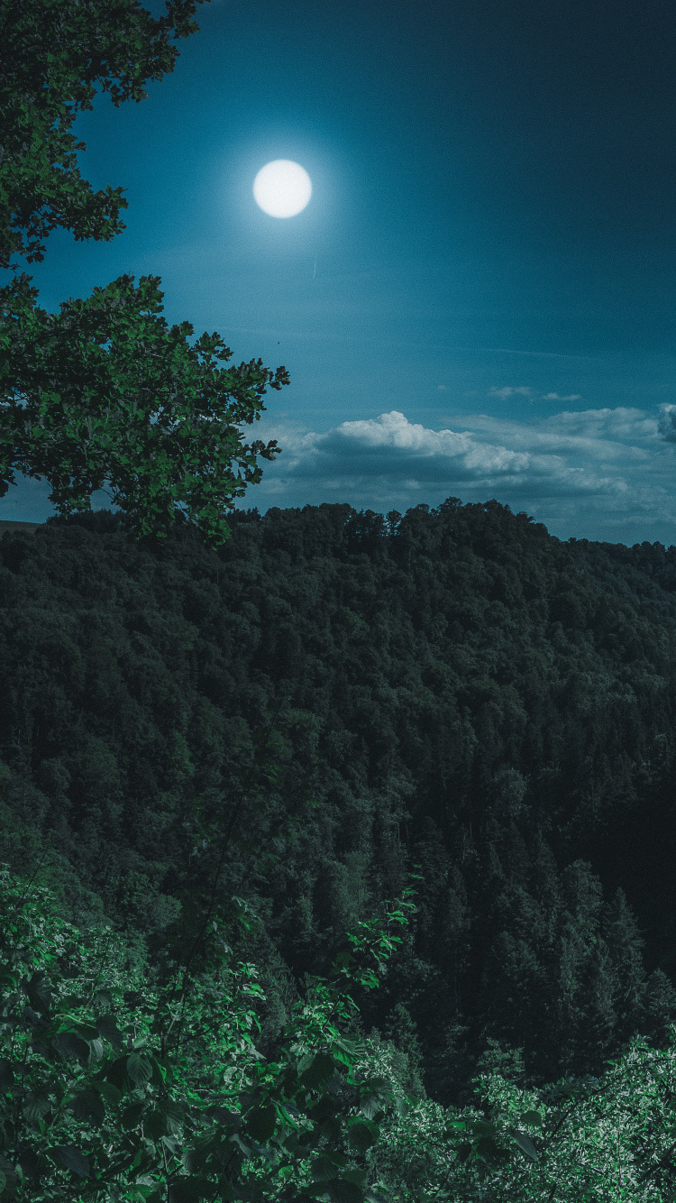 Обои земля, луна, лунный свет, природа, синий в разрешении 750x1334