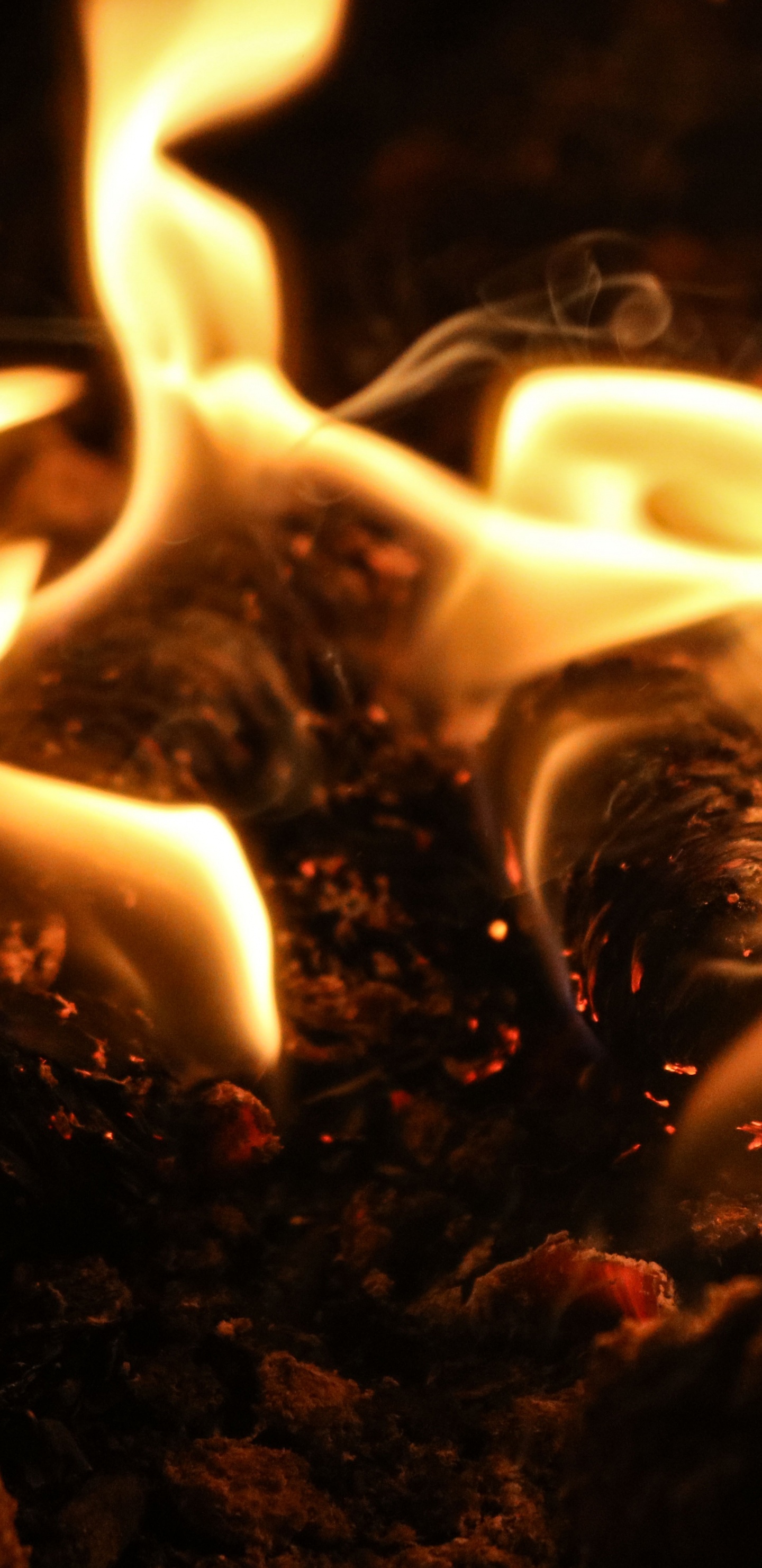Обои пламя, огонь, тепло, костер, свет в разрешении 1440x2960