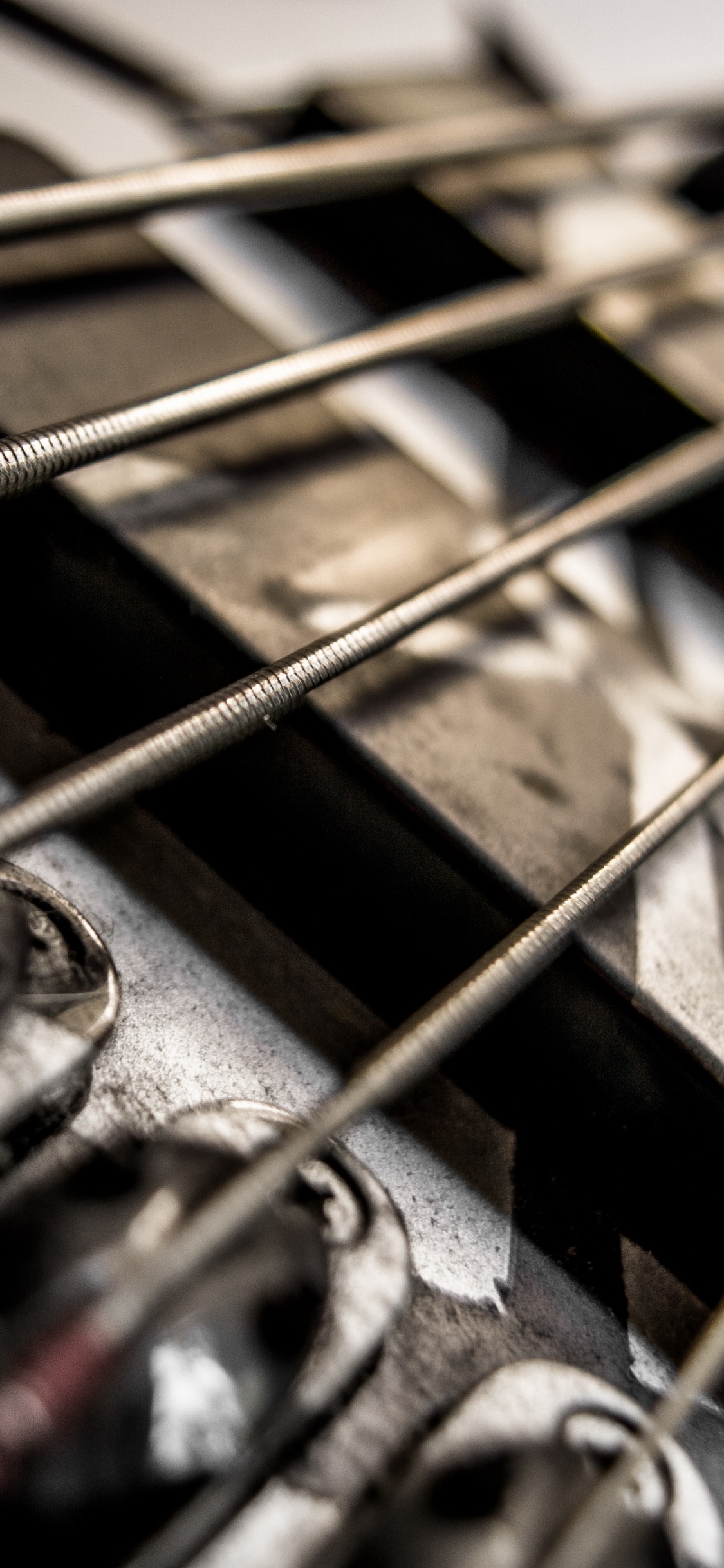 Обои гитара, басгитара, электрогитара, струнный инструмент, музыкальный инструмент в разрешении 1125x2436