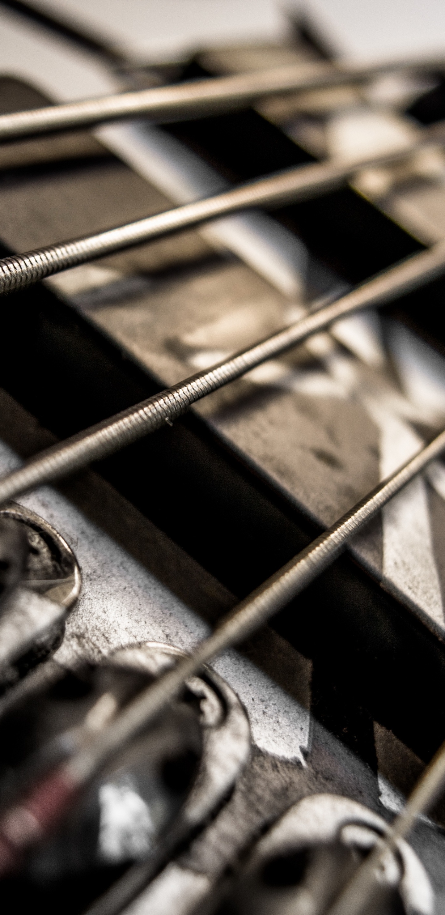 Обои гитара, басгитара, электрогитара, струнный инструмент, музыкальный инструмент в разрешении 1440x2960