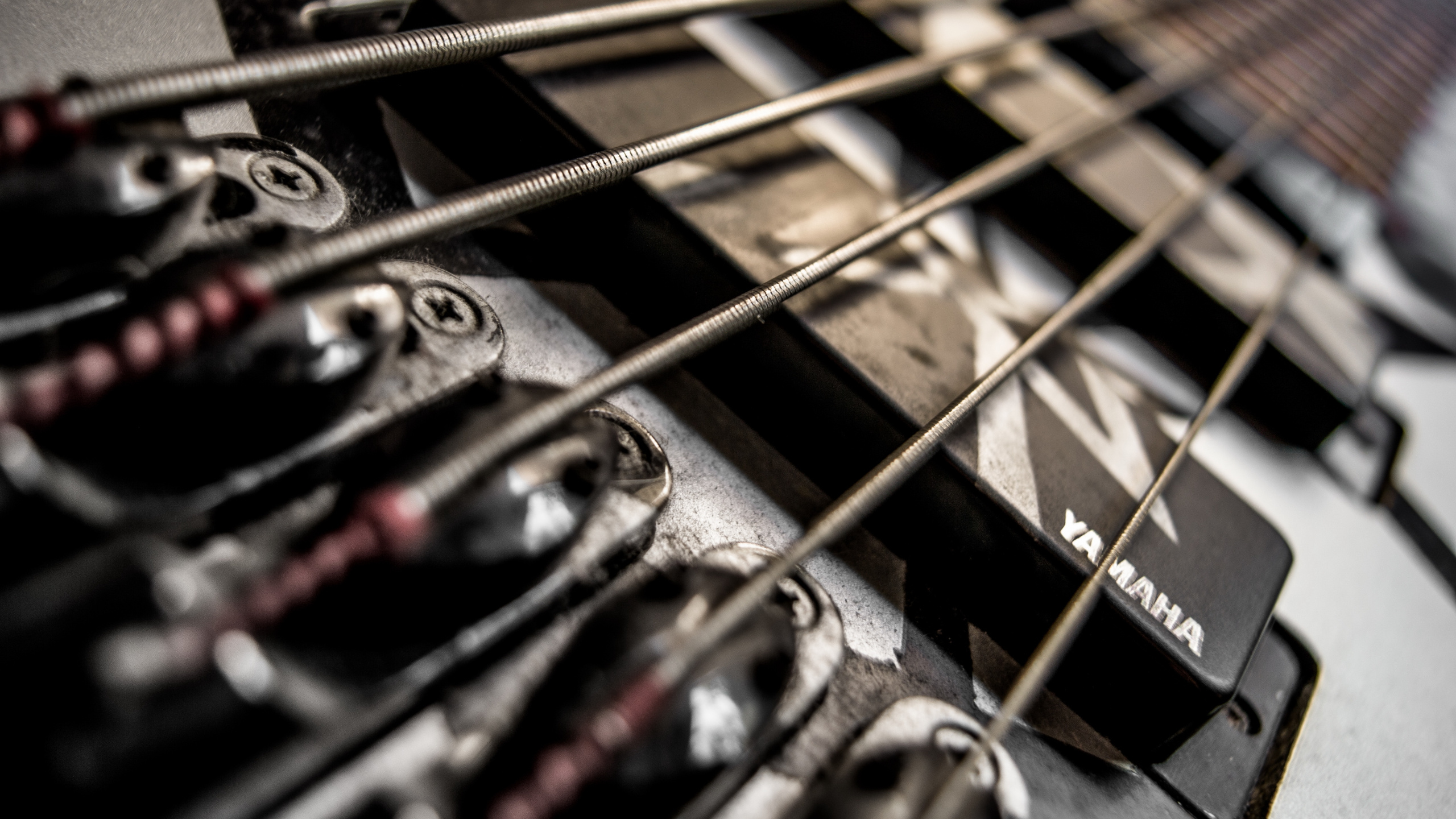 Обои гитара, басгитара, электрогитара, струнный инструмент, музыкальный инструмент в разрешении 2560x1440