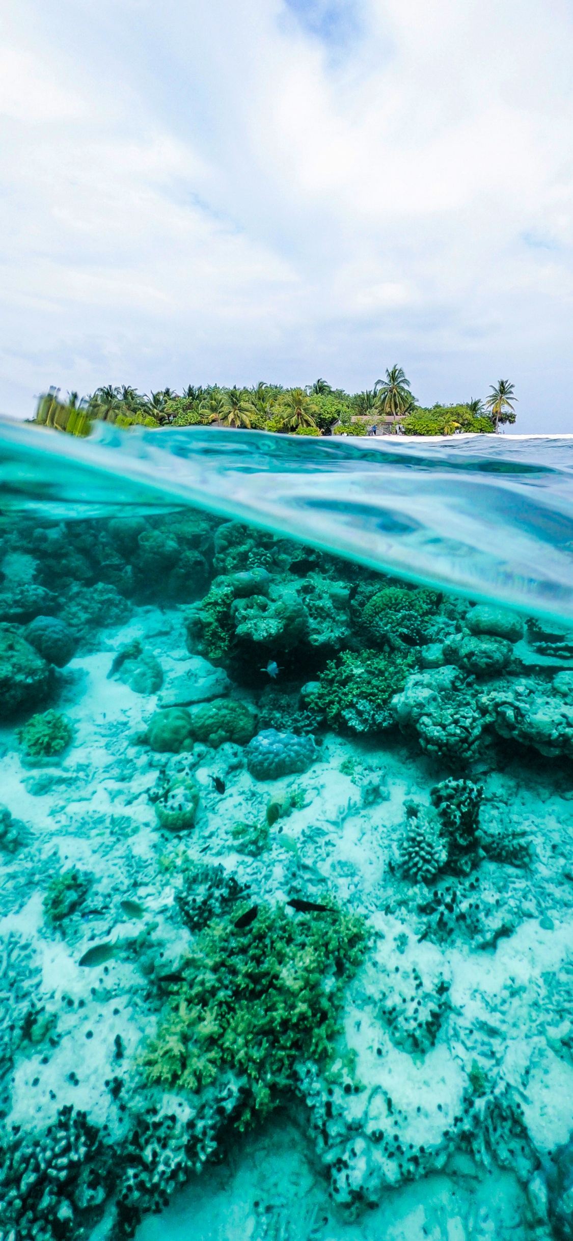 Обои океан, вода, гидроресурсы, облако, зеленый в разрешении 1125x2436