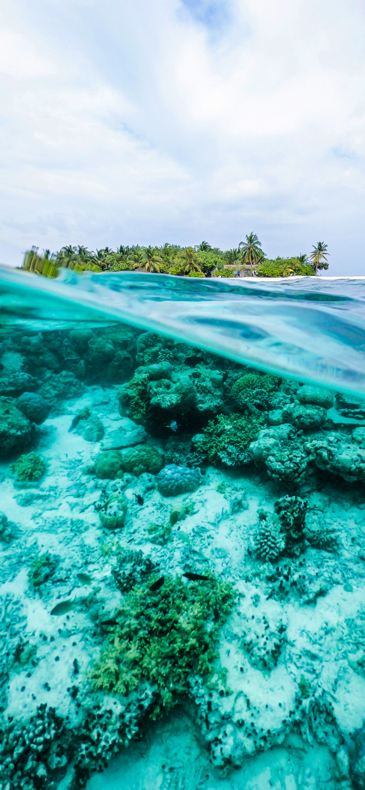 Обои океан, вода, гидроресурсы, облако, зеленый в разрешении 1242x2688