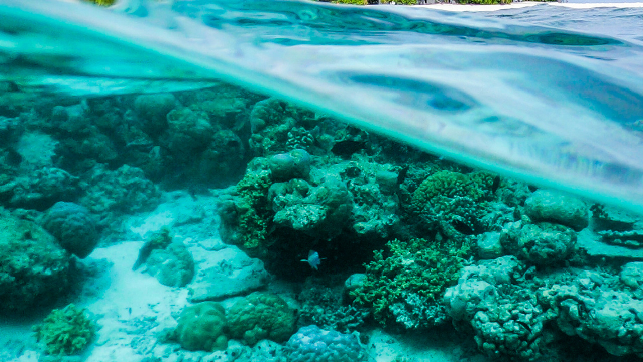 Обои океан, вода, гидроресурсы, облако, зеленый в разрешении 1280x720