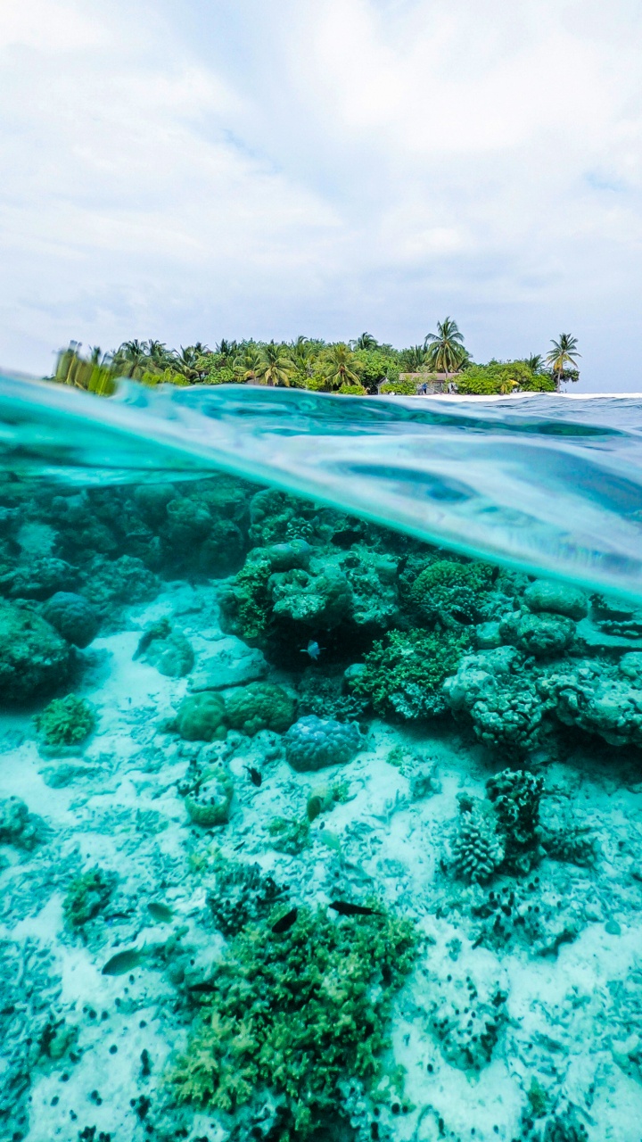 Обои океан, вода, гидроресурсы, облако, зеленый в разрешении 720x1280