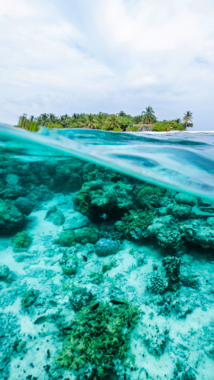 Обои океан, вода, гидроресурсы, облако, зеленый в разрешении 750x1334