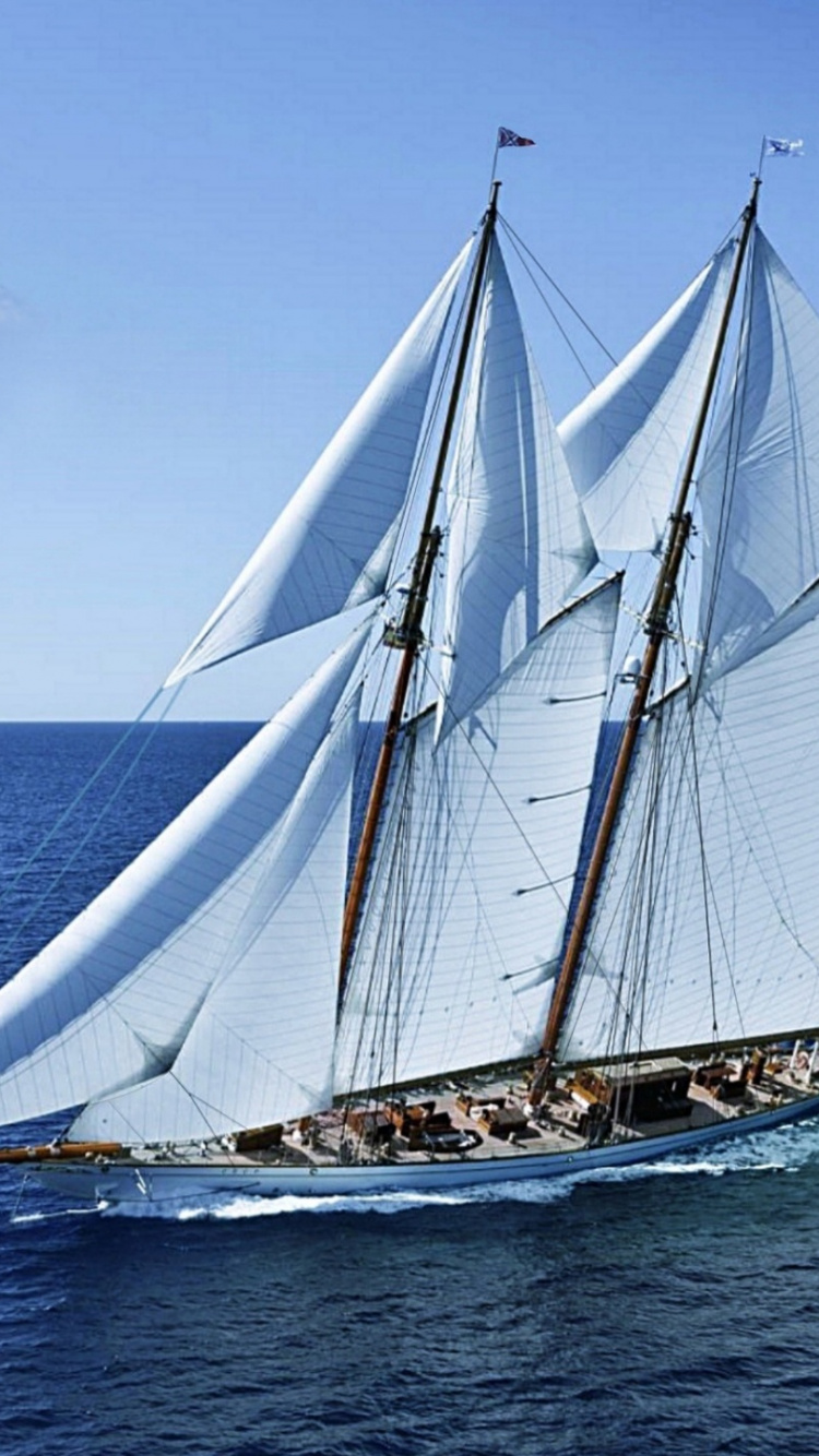 Обои яхта, парусная шлюпка, парусник, лодка, перевозка воды в разрешении 750x1334