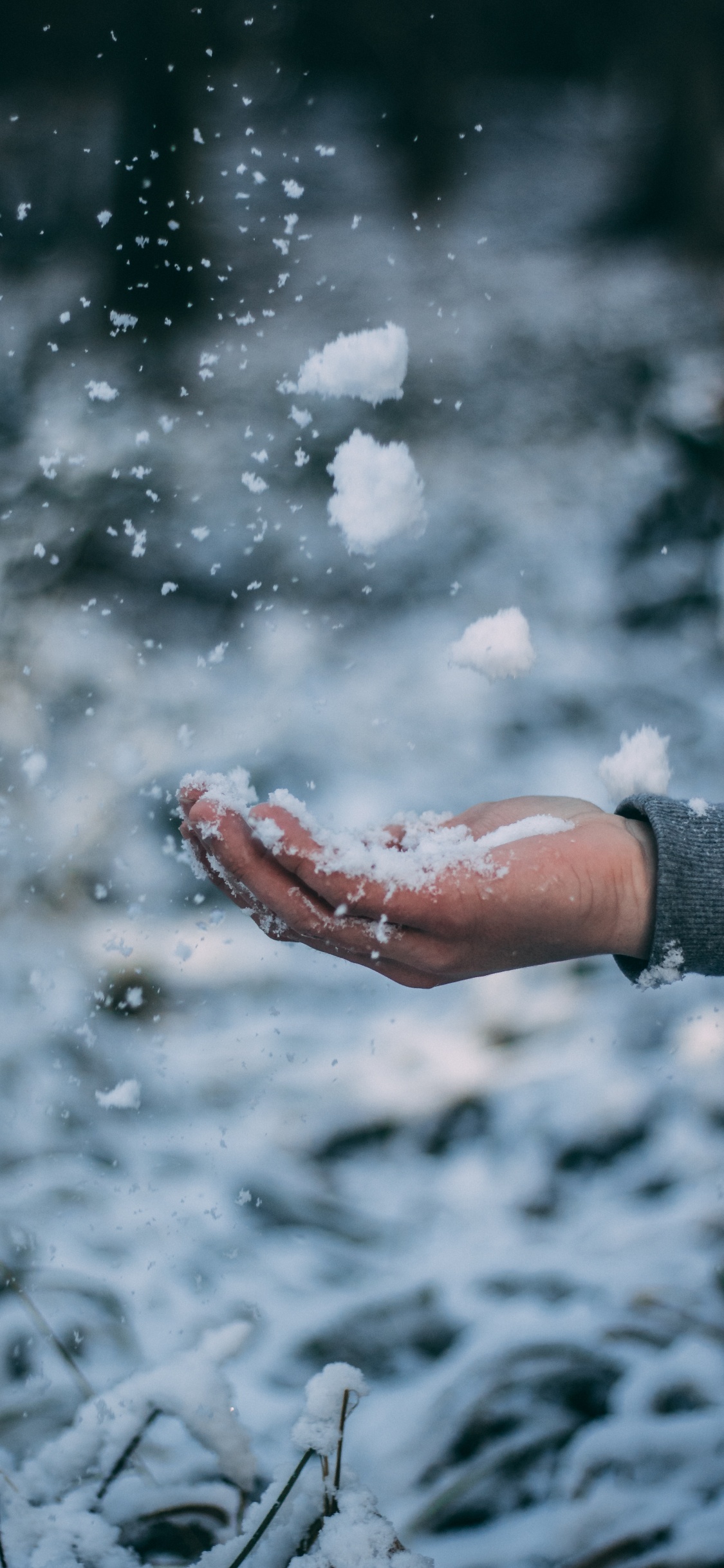 Обои зима, снег, вода, замораживание, облако в разрешении 1125x2436