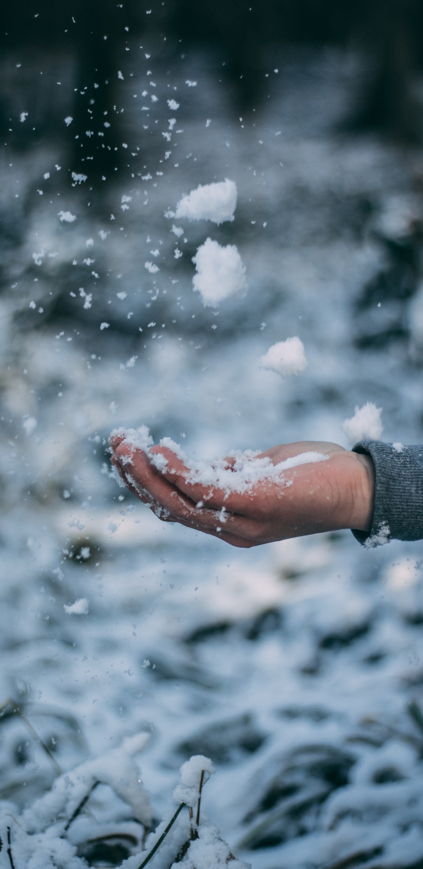 Обои зима, снег, вода, замораживание, облако в разрешении 1440x2960