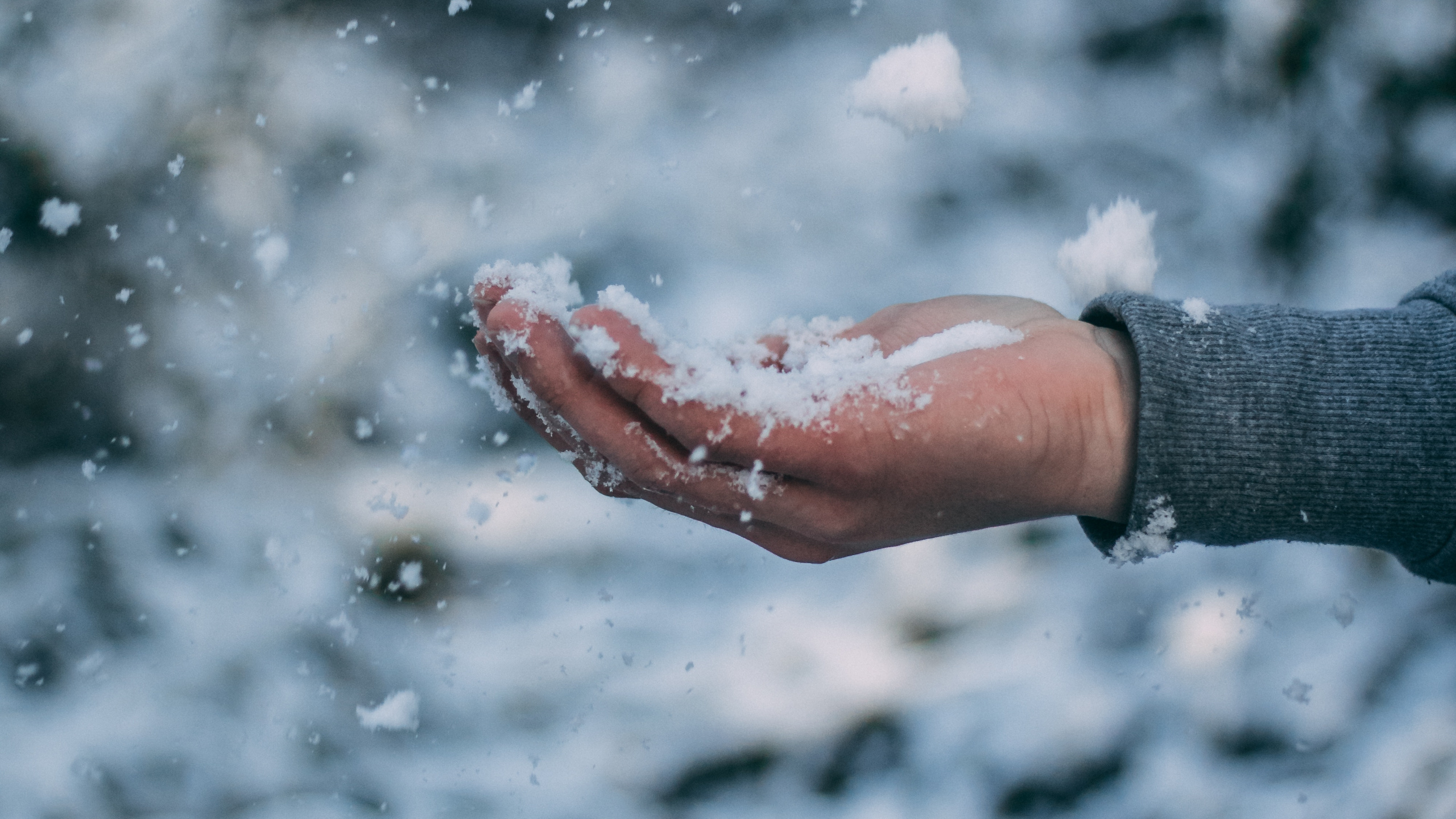 Обои зима, снег, вода, замораживание, облако в разрешении 2560x1440