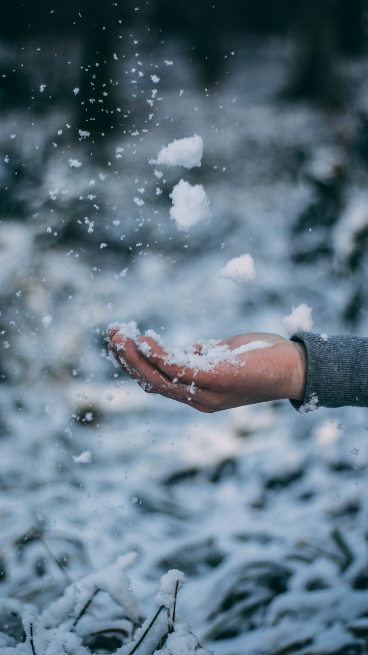 Обои зима, снег, вода, замораживание, облако в разрешении 750x1334