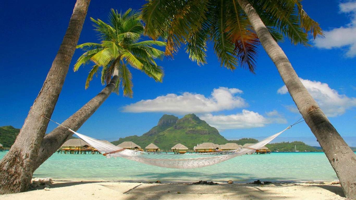 Обои пляж, отпуск, тропическая зона, дерево, Пальма в разрешении 1366x768