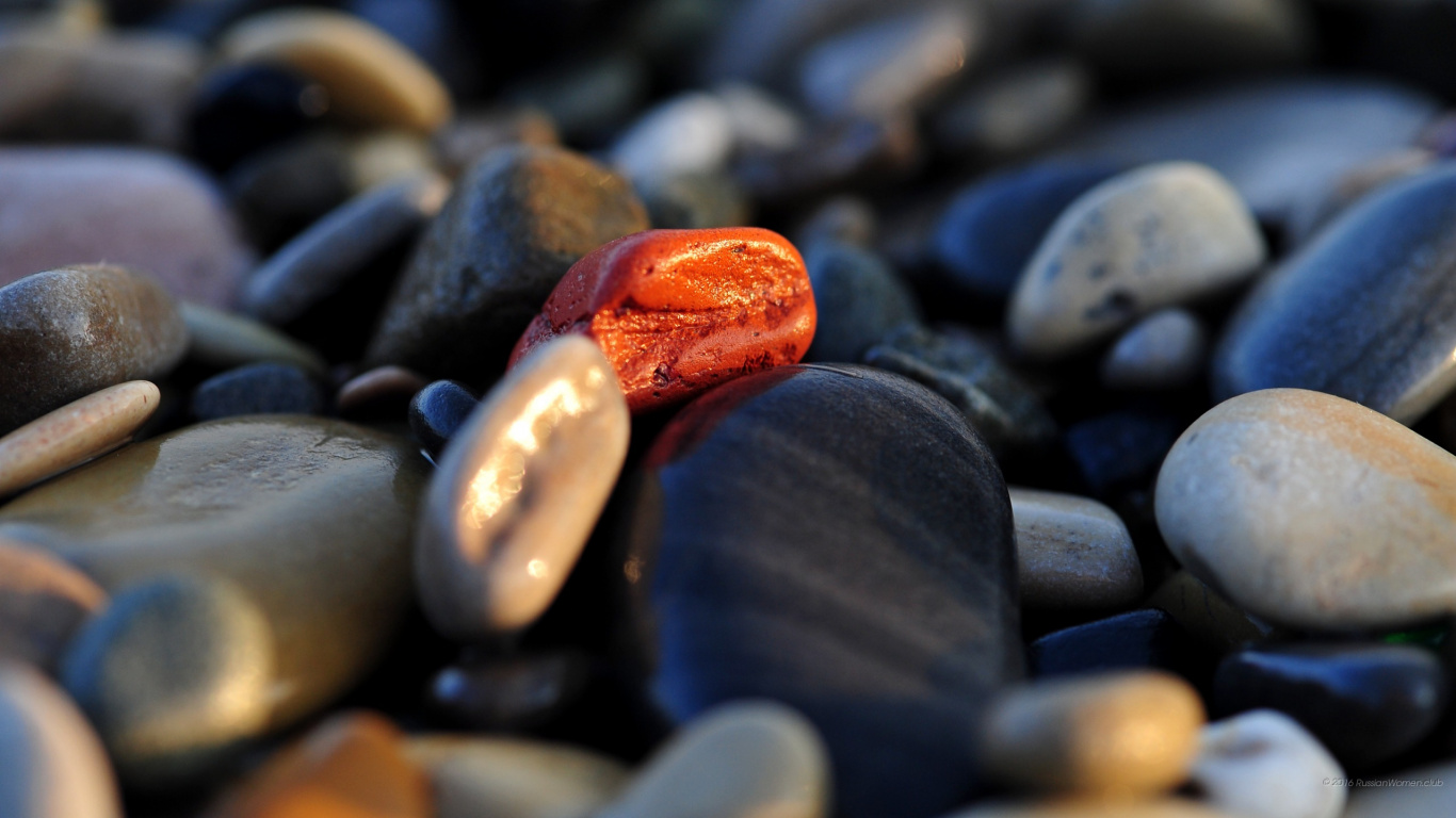 Обои булыжник, рок, пляж, крупный план, мелкая галька в разрешении 1366x768
