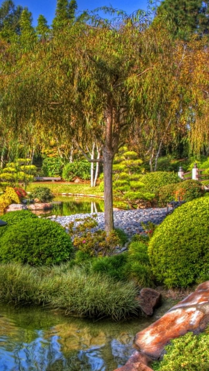 Обои Граф Бернс Миллер Японский Сад, японский сад, сад, водный сад, природа в разрешении 720x1280