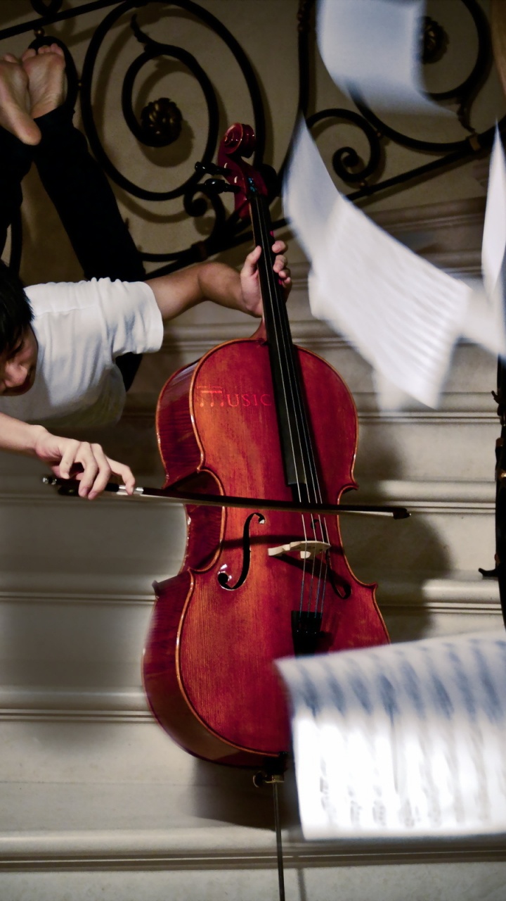 Обои виолончель, скрипка, струнный инструмент, архитектура, музыка в разрешении 720x1280