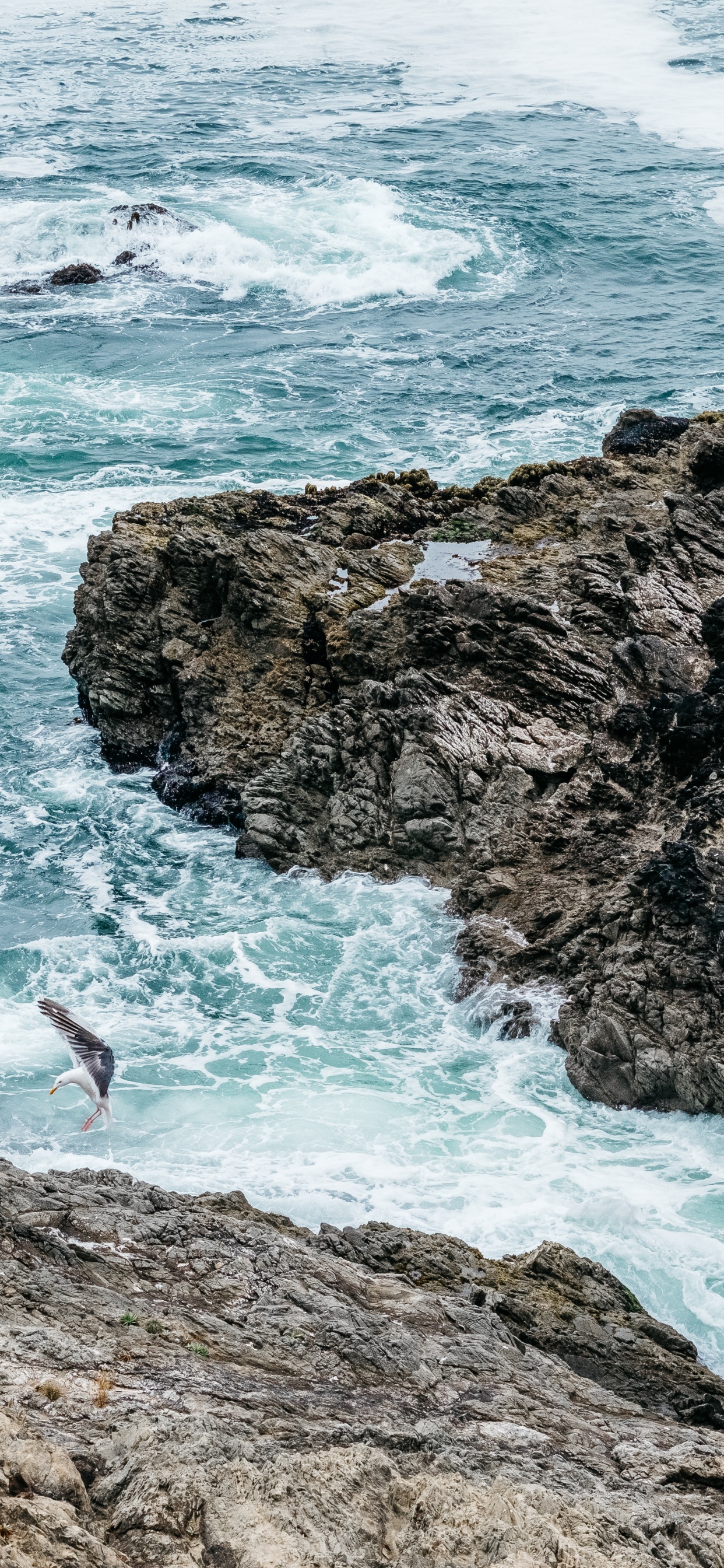 Обои прибрежные и океанические рельефы, туризм, океан, пляж, отпуск в разрешении 1242x2688