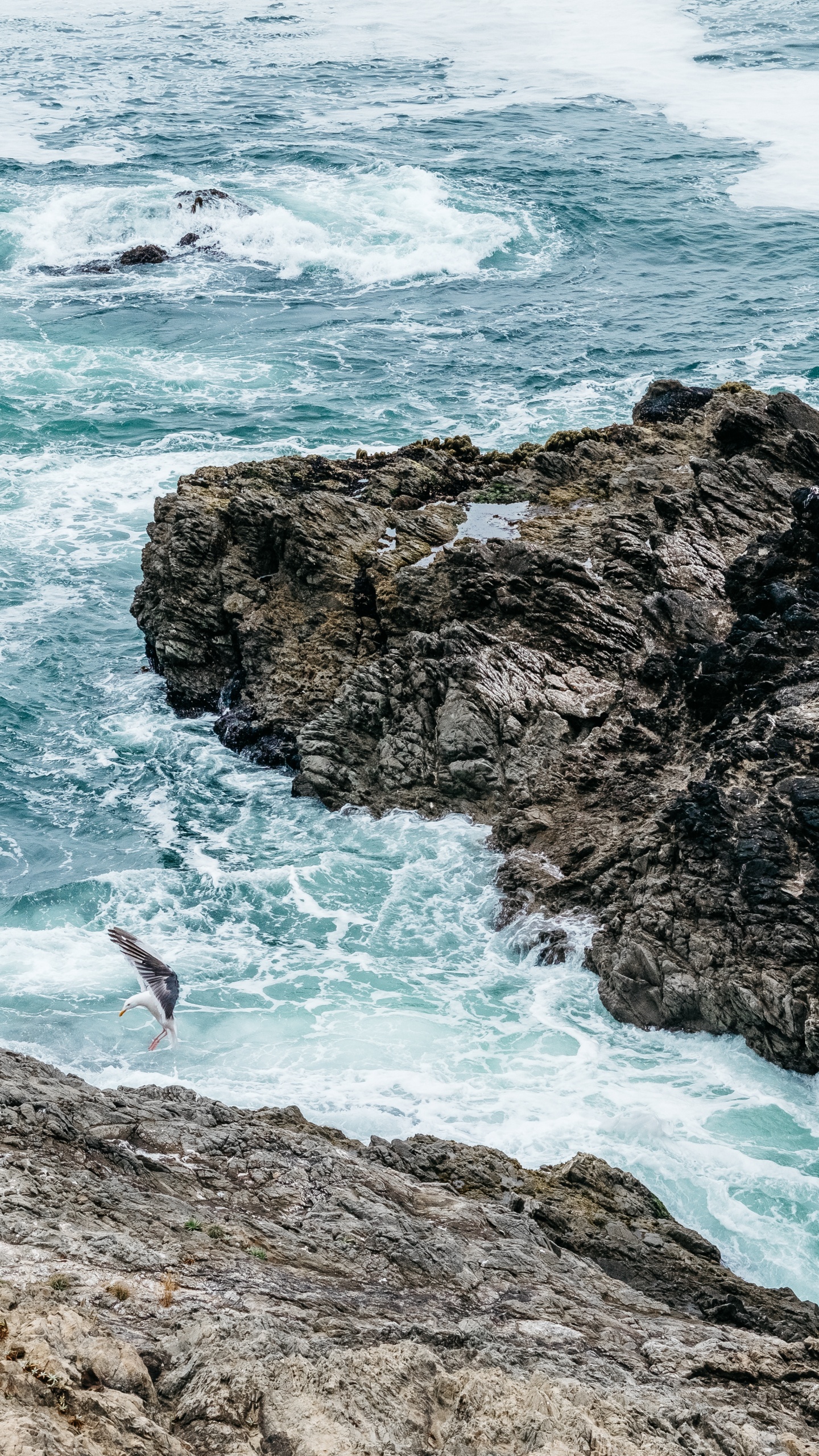 Обои прибрежные и океанические рельефы, туризм, океан, пляж, отпуск в разрешении 1440x2560