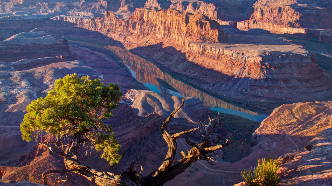 Обои Мертвые Пойнт-Стейт-Парк Лошади, национальный парк зайон, бесплодные земли, природа, формирование в разрешении 1280x720