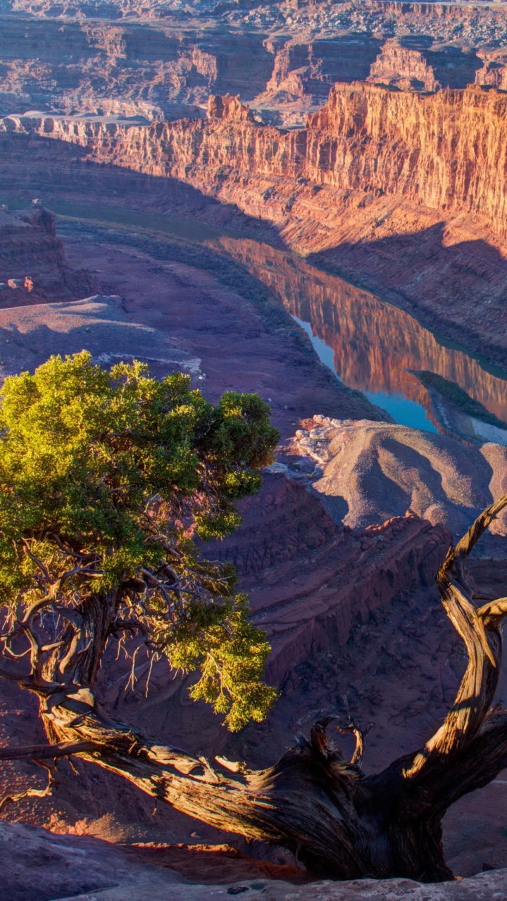 Обои Мертвые Пойнт-Стейт-Парк Лошади, национальный парк зайон, бесплодные земли, природа, формирование в разрешении 720x1280