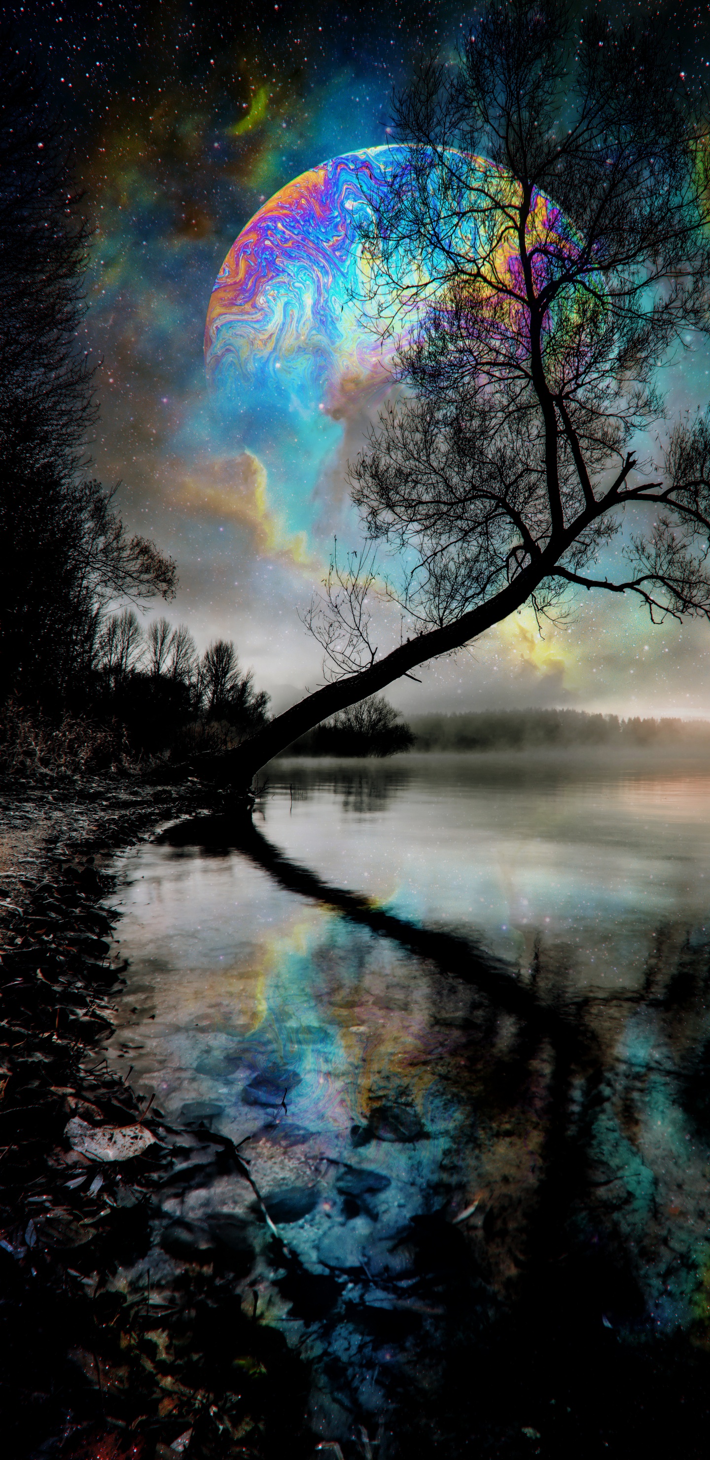 Обои природа, вода, гидроресурсы, атмосфера, дневное время в разрешении 1440x2960