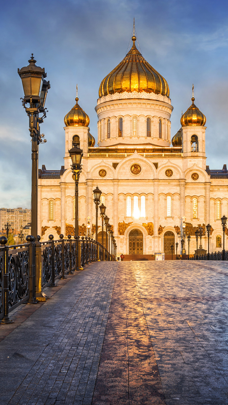 Обои собор, ориентир, здание, город, базилика в разрешении 750x1334