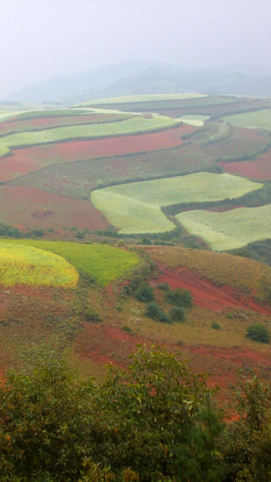 Обои равнина, Доньчуан Район, достопримечательность, путешествие, туризм в разрешении 1080x1920