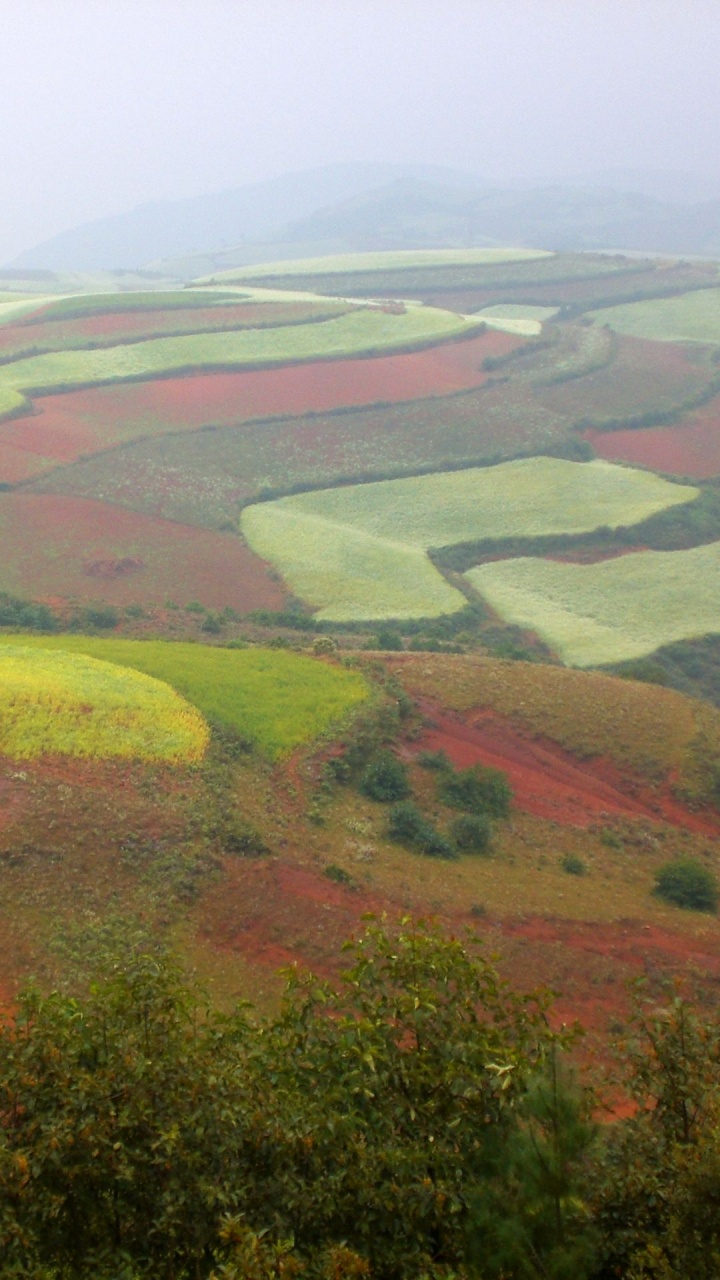 Обои равнина, Доньчуан Район, достопримечательность, путешествие, туризм в разрешении 720x1280