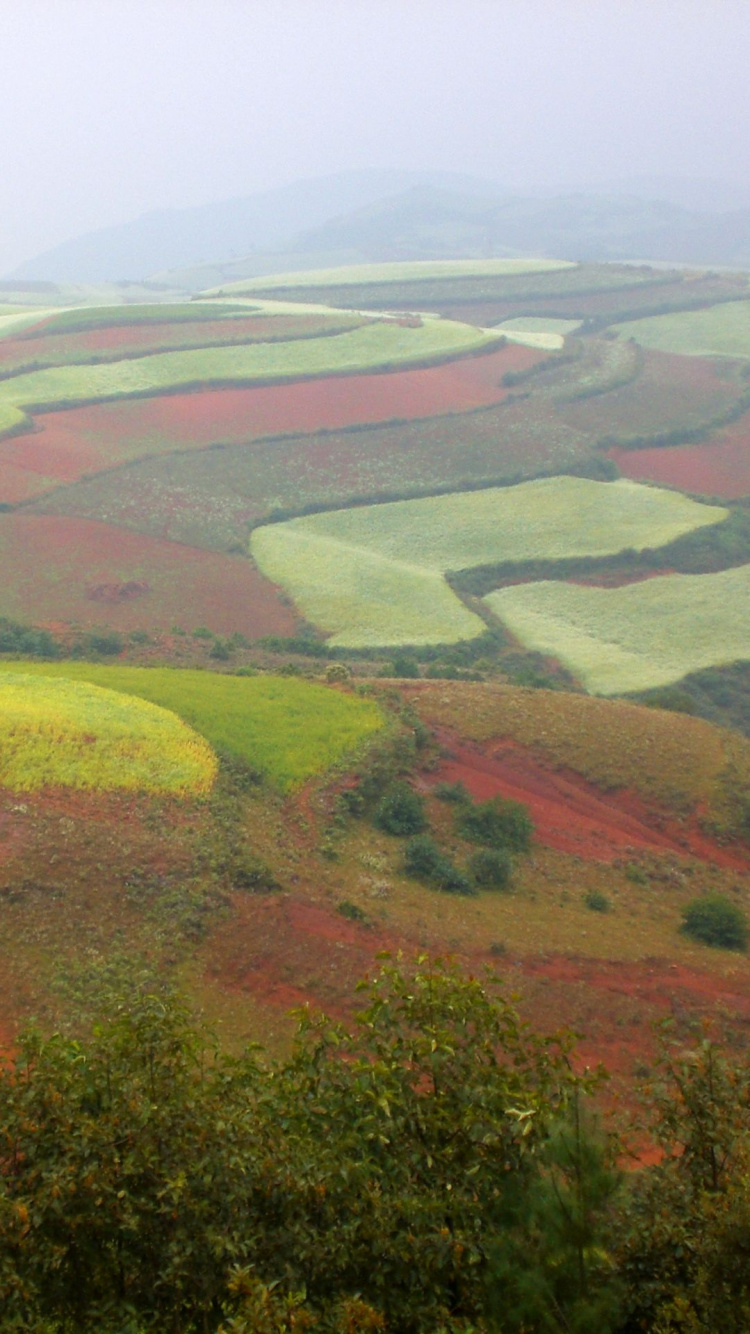 Обои равнина, Доньчуан Район, достопримечательность, путешествие, туризм в разрешении 750x1334