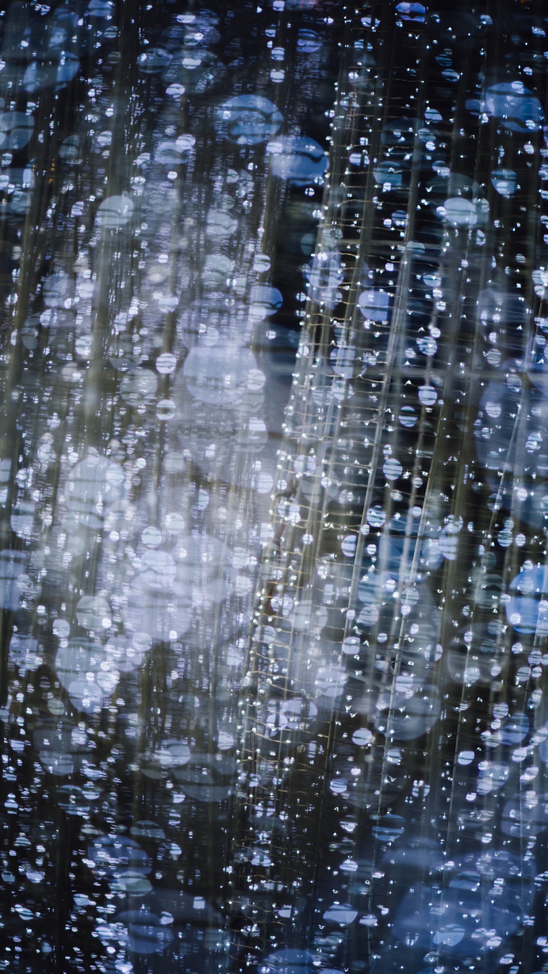 Обои боке, вода, отражение, дерево, дождь в разрешении 1080x1920