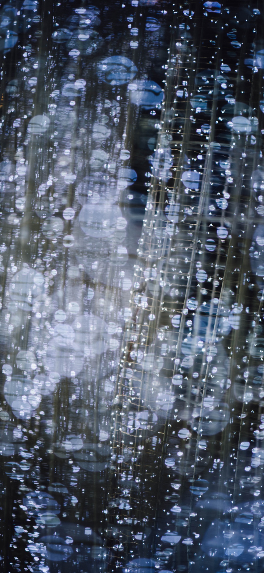 Обои боке, вода, отражение, дерево, дождь в разрешении 1125x2436