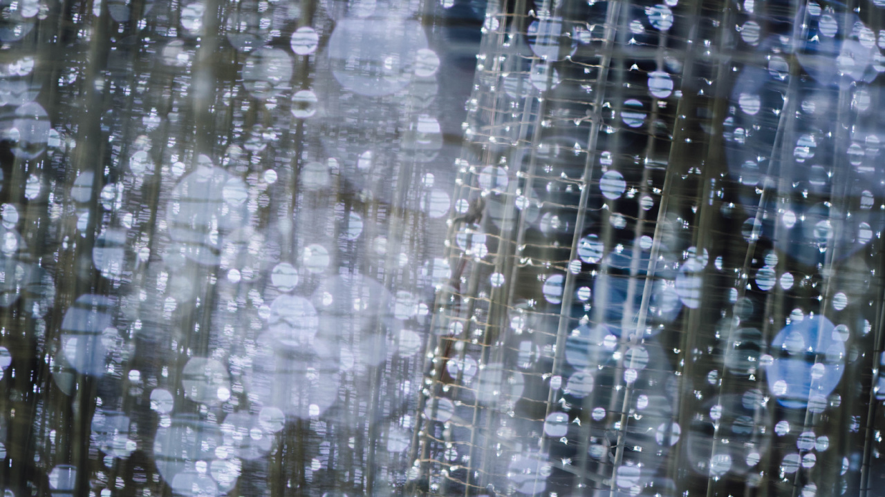 Обои боке, вода, отражение, дерево, дождь в разрешении 1280x720