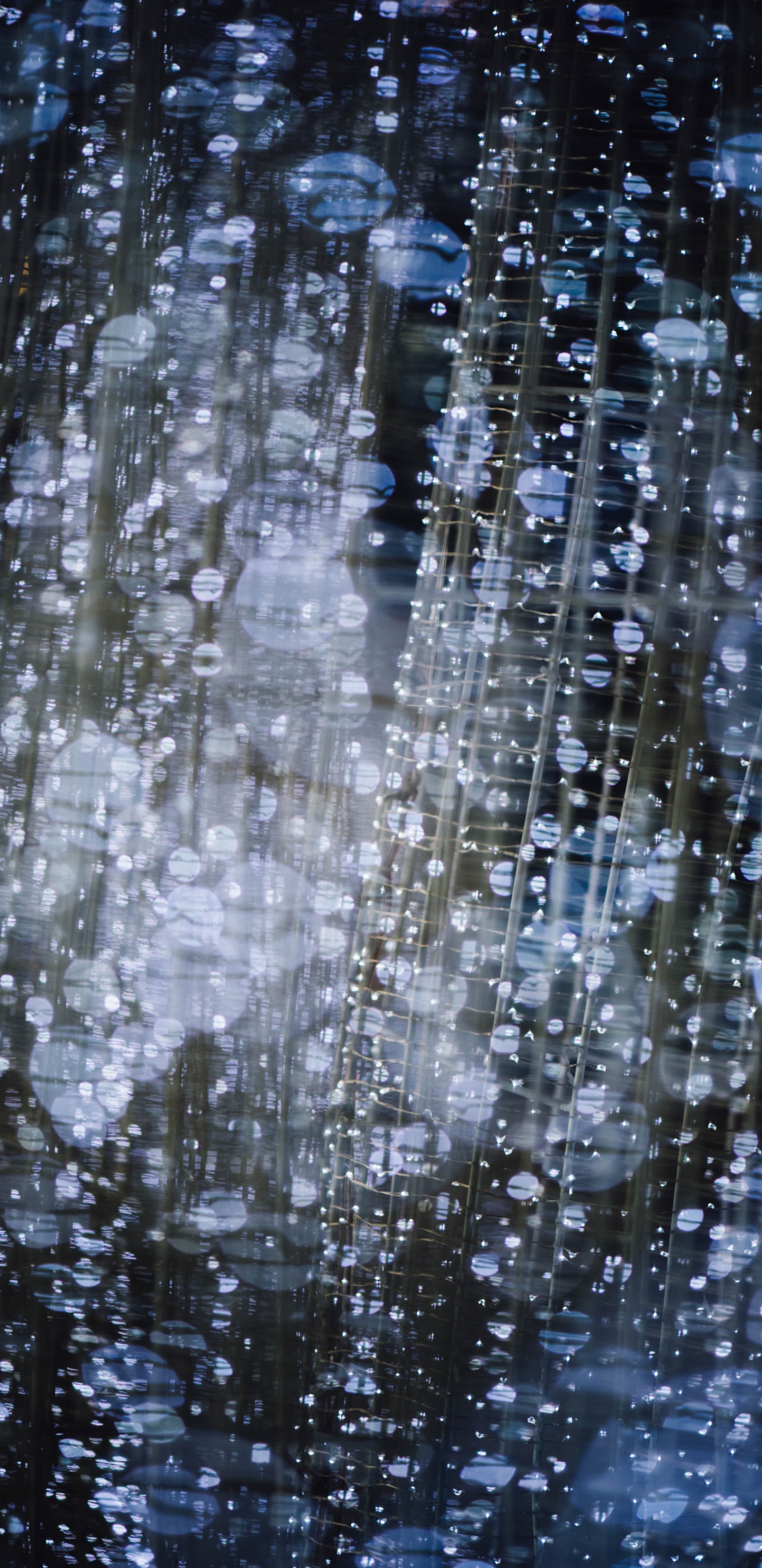 Обои боке, вода, отражение, дерево, дождь в разрешении 1440x2960