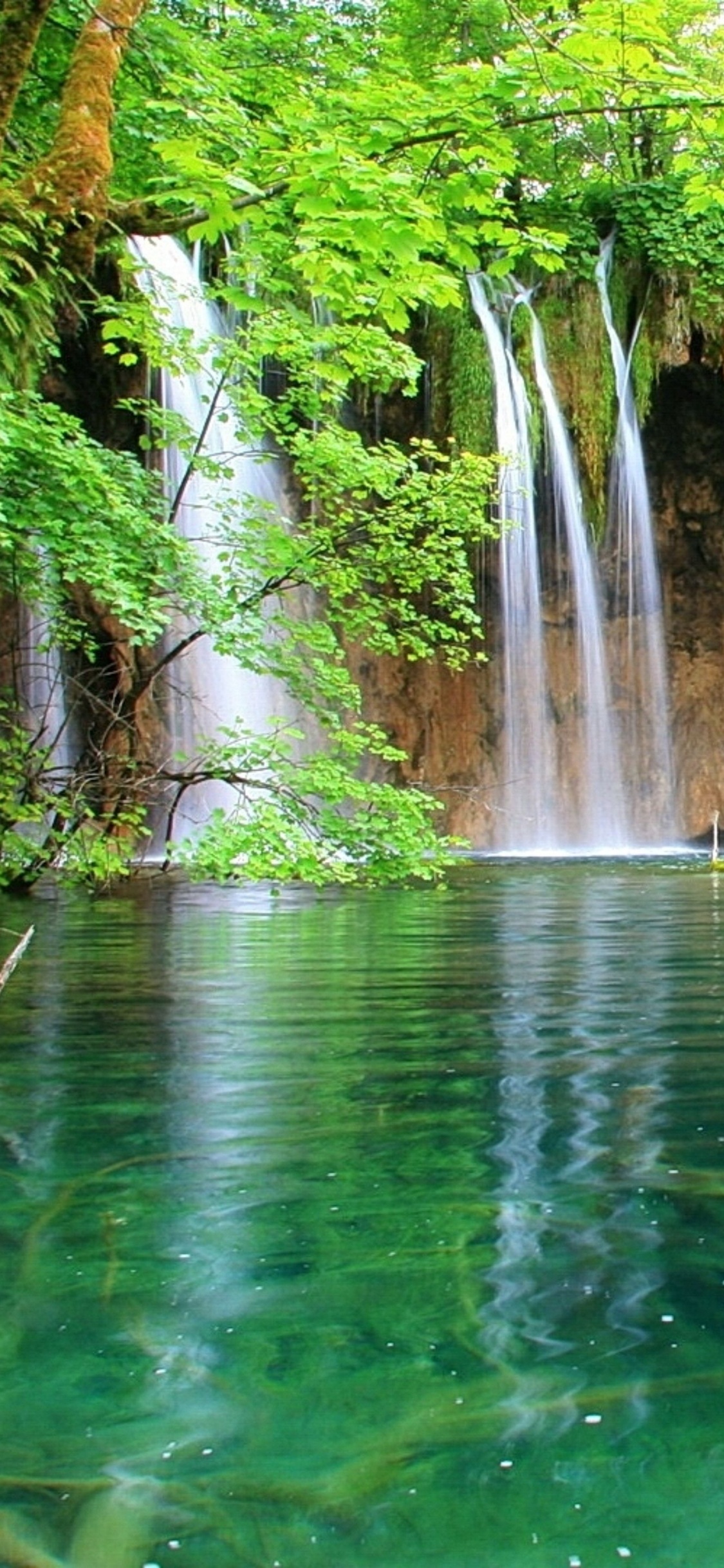 Обои водопад, водоем, гидроресурсы, природа, природный заповедник в разрешении 1125x2436