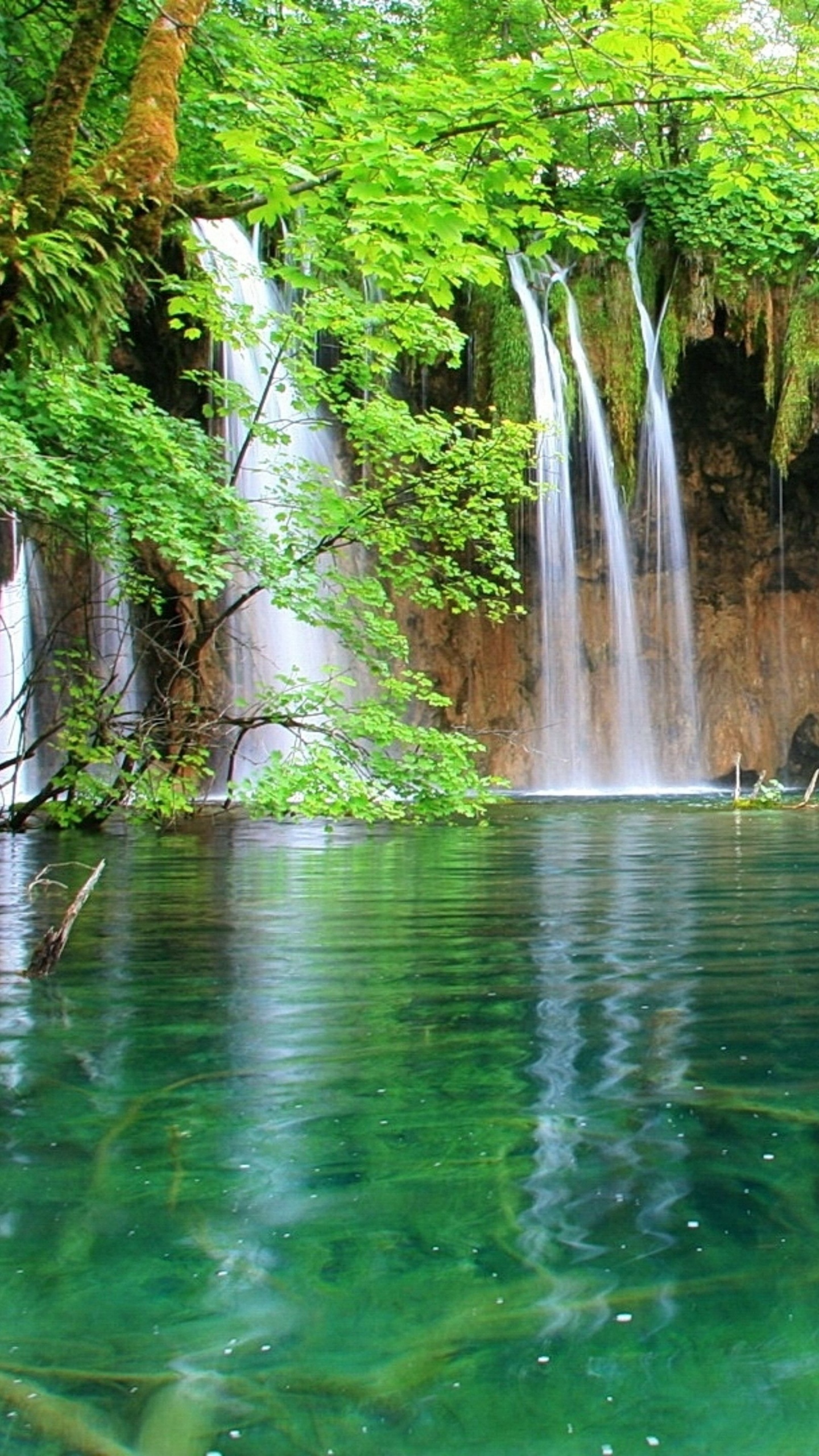 Обои водопад, водоем, гидроресурсы, природа, природный заповедник в разрешении 1440x2560