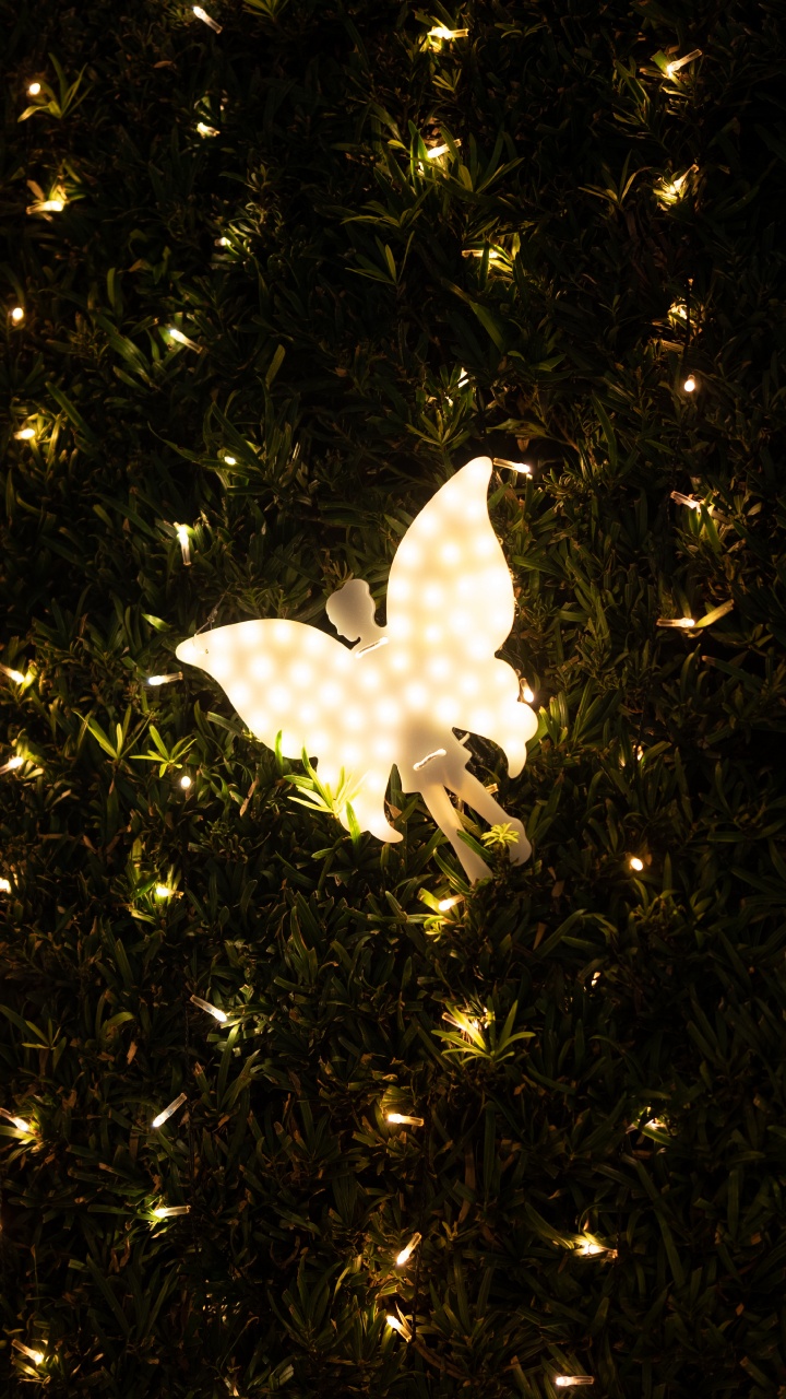 Обои свет, ночь, дерево, космос, бабочка в разрешении 720x1280