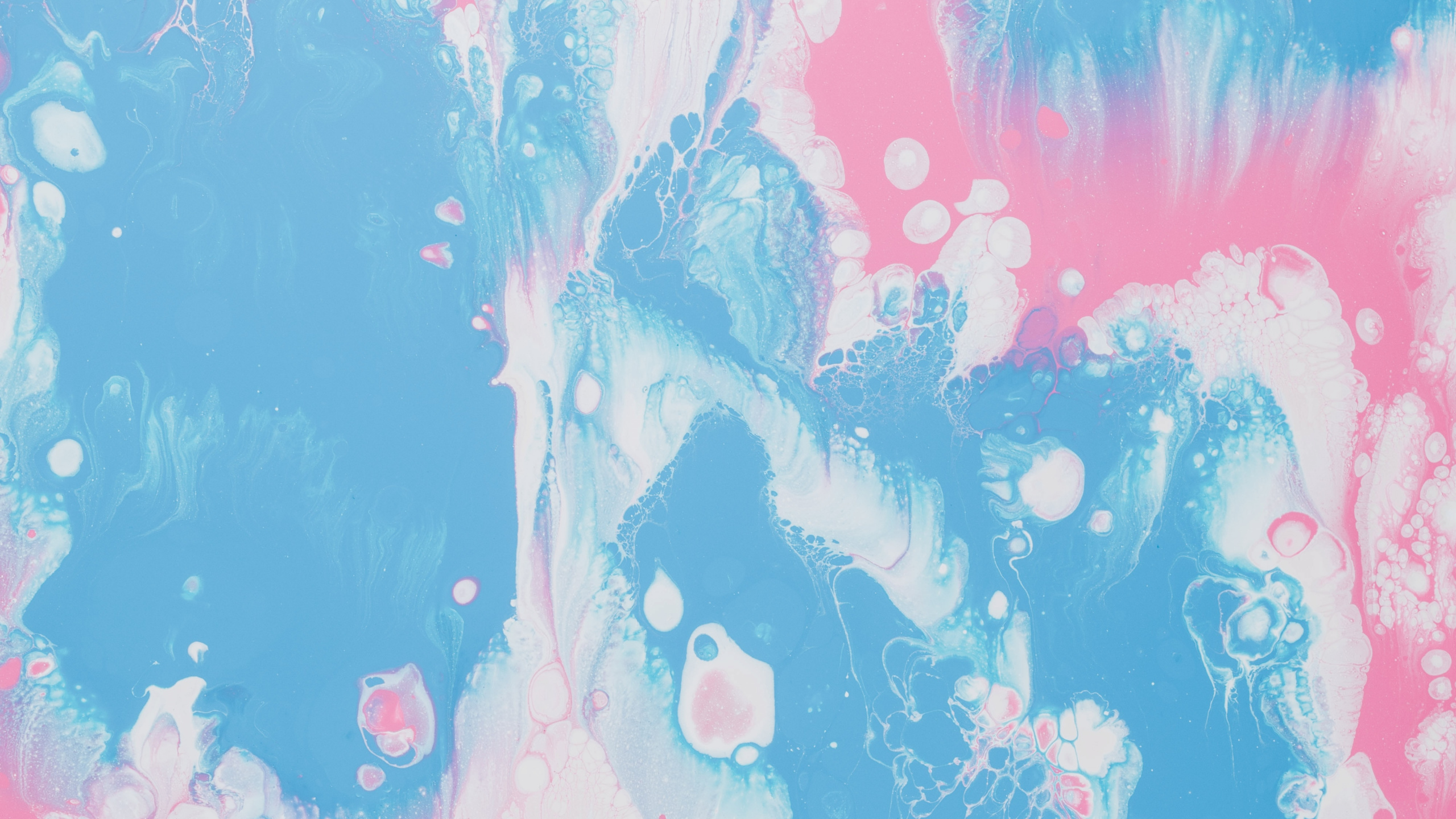 Обои синий, розовый, узор, дизайн, визуальное искусство в разрешении 2560x1440