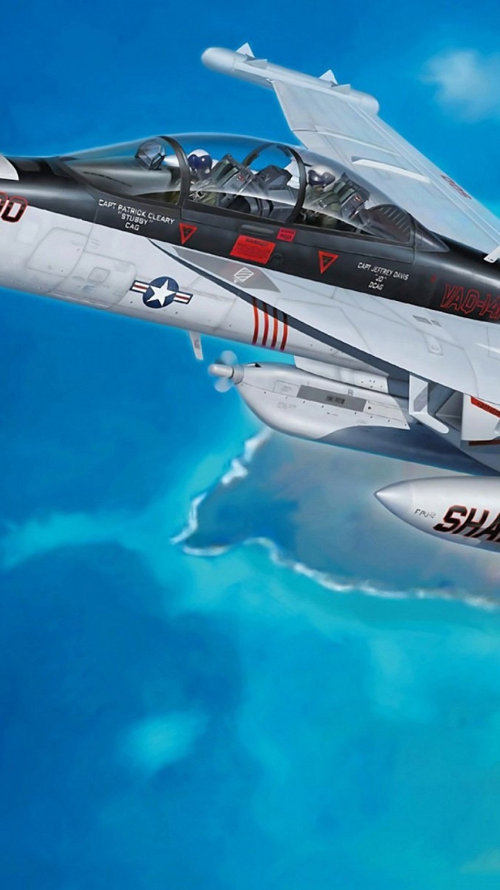 Обои ЕА 18г ворчун, Боинг Ф-18Е F супер Хорнет, Электронно-боевых самолетов, самолеты, самолет в разрешении 720x1280