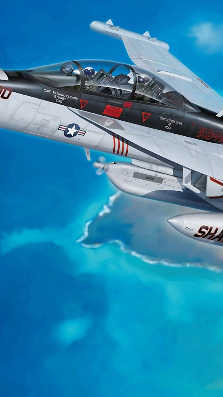 Обои ЕА 18г ворчун, Боинг Ф-18Е F супер Хорнет, Электронно-боевых самолетов, самолеты, самолет в разрешении 750x1334